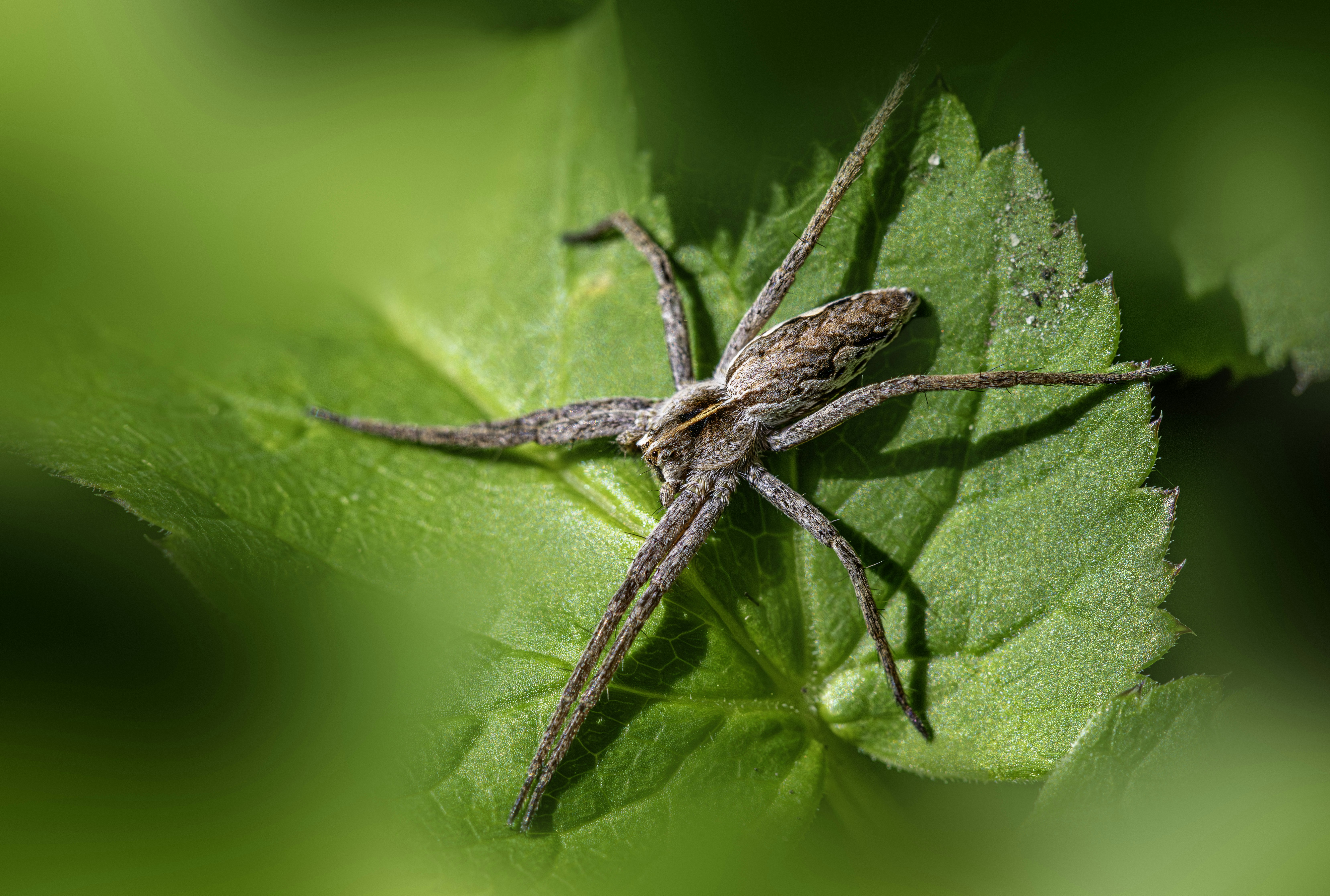 Photo by erik_karits