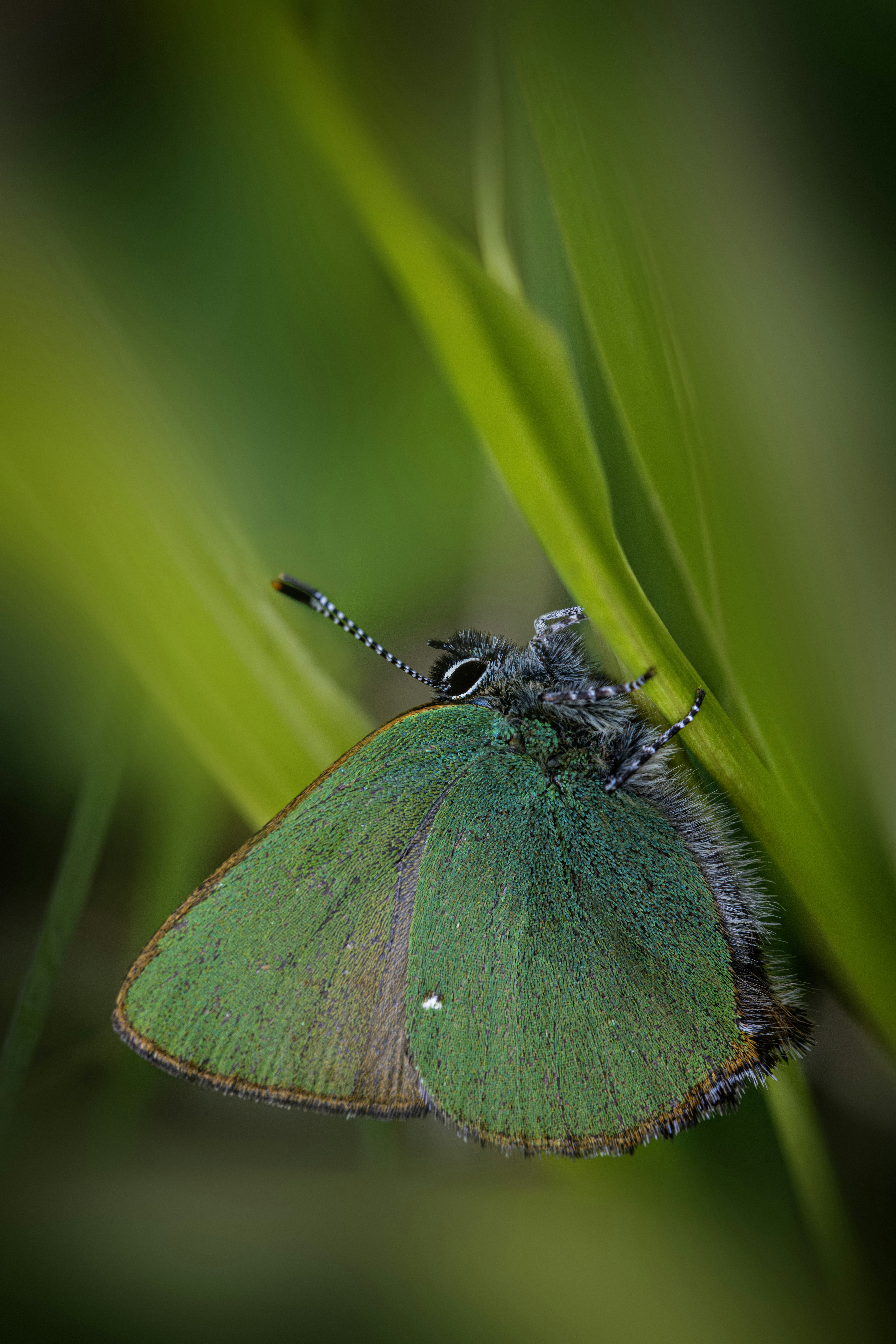 Photo by erik_karits