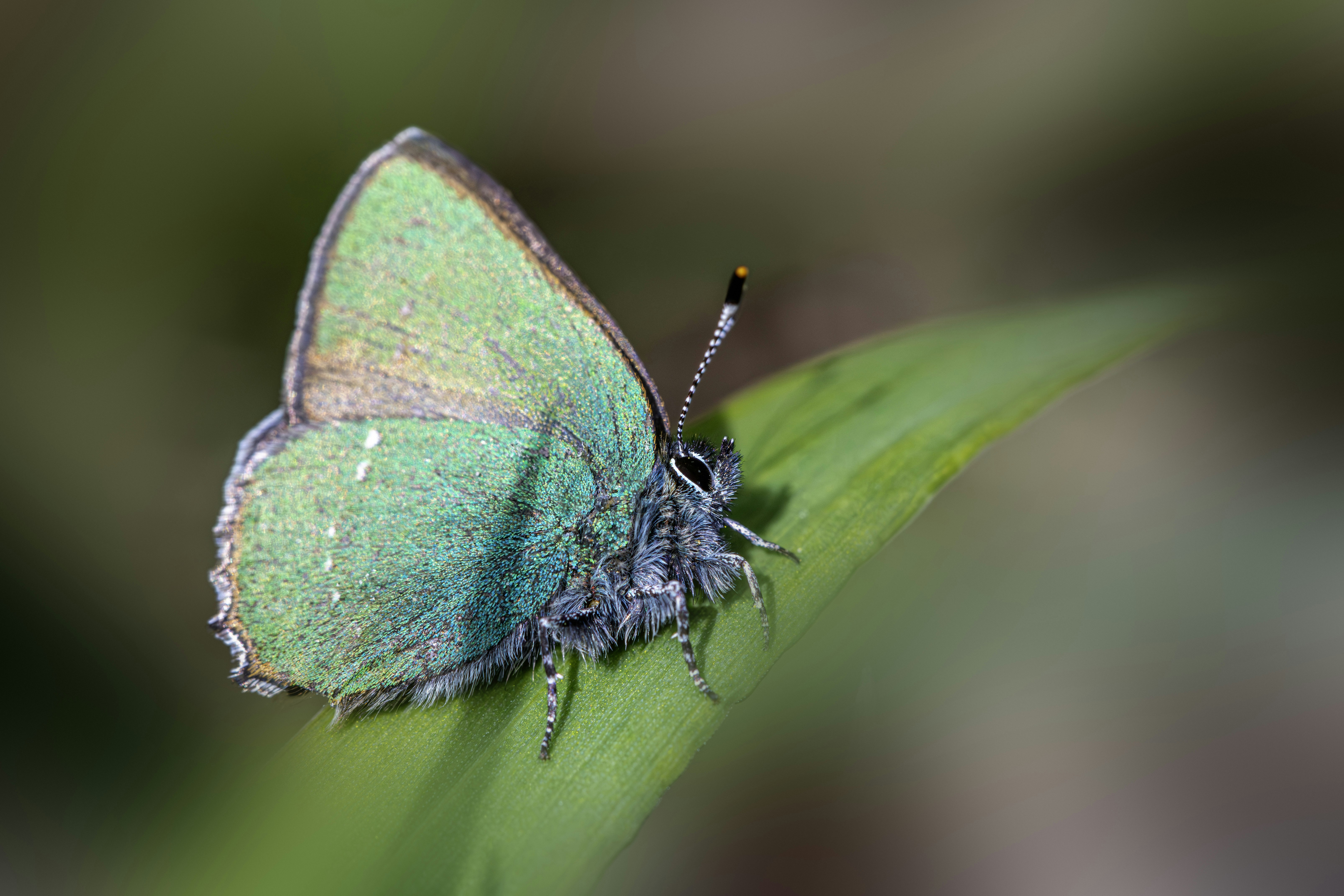 Photo by erik_karits