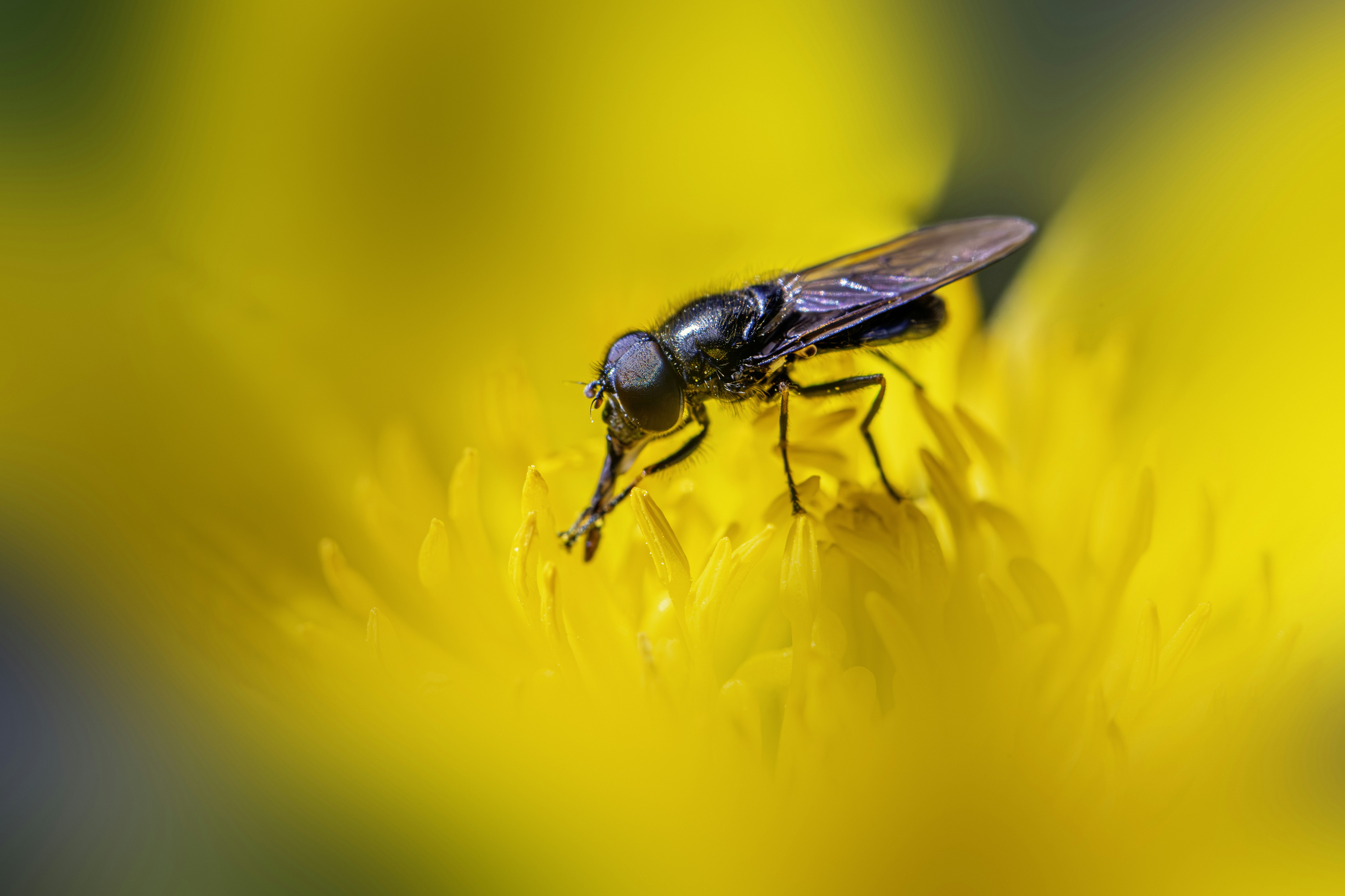 Photo by erik_karits