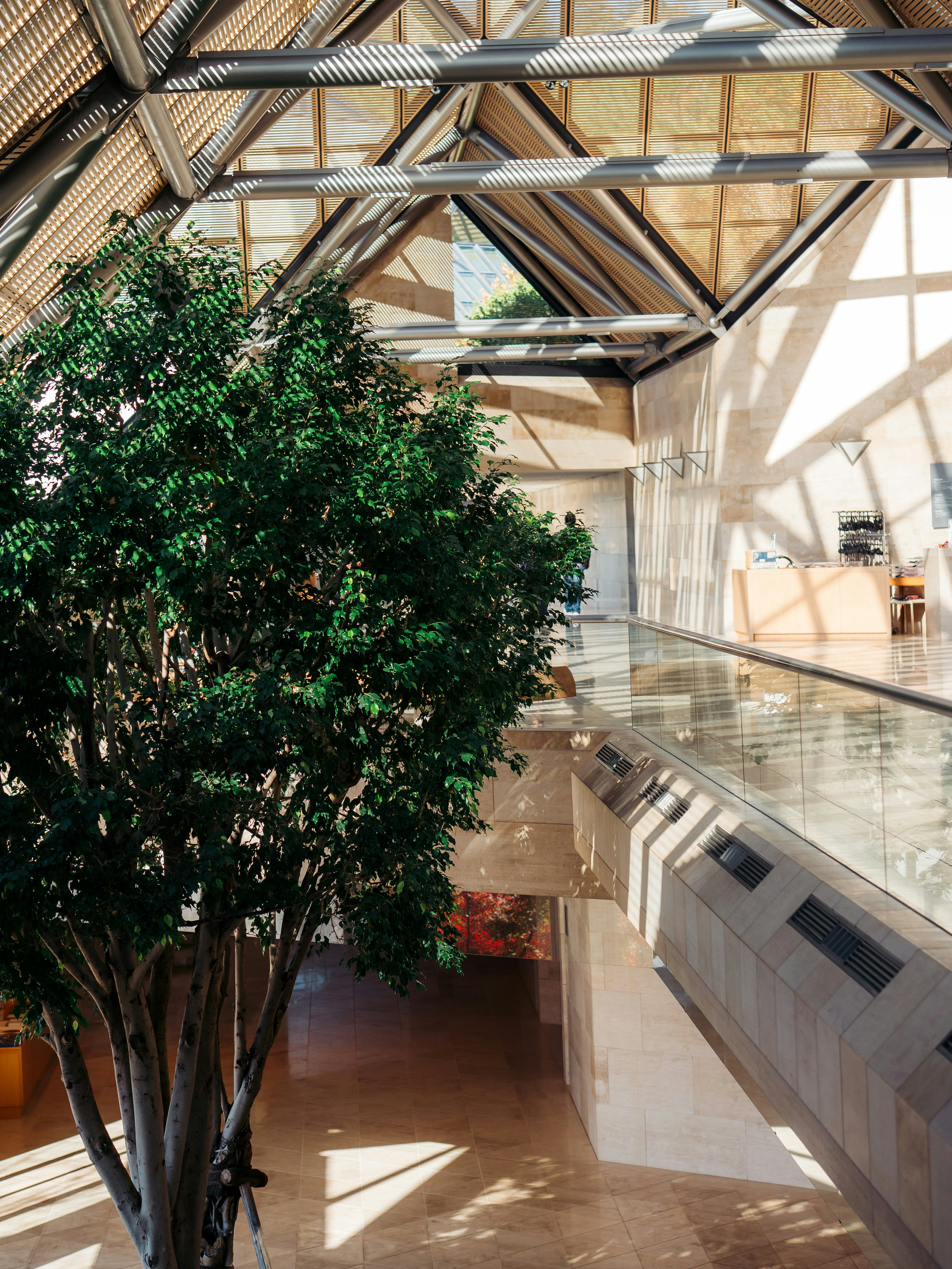 Photo by boomitskota