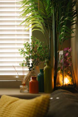 Decorative vases and plants on a windowsill