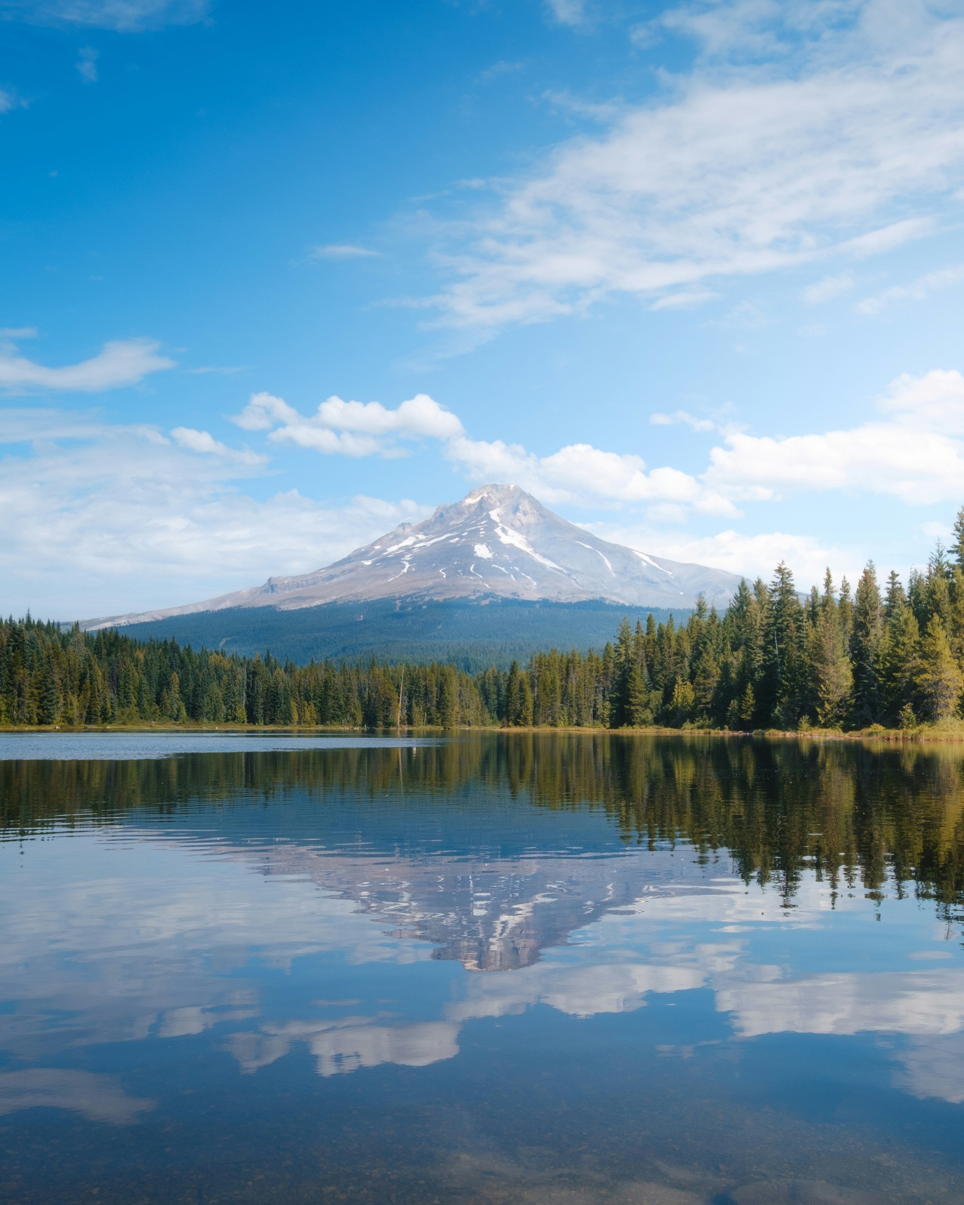 Montaña reflejada en un lago tranquilo con bosque