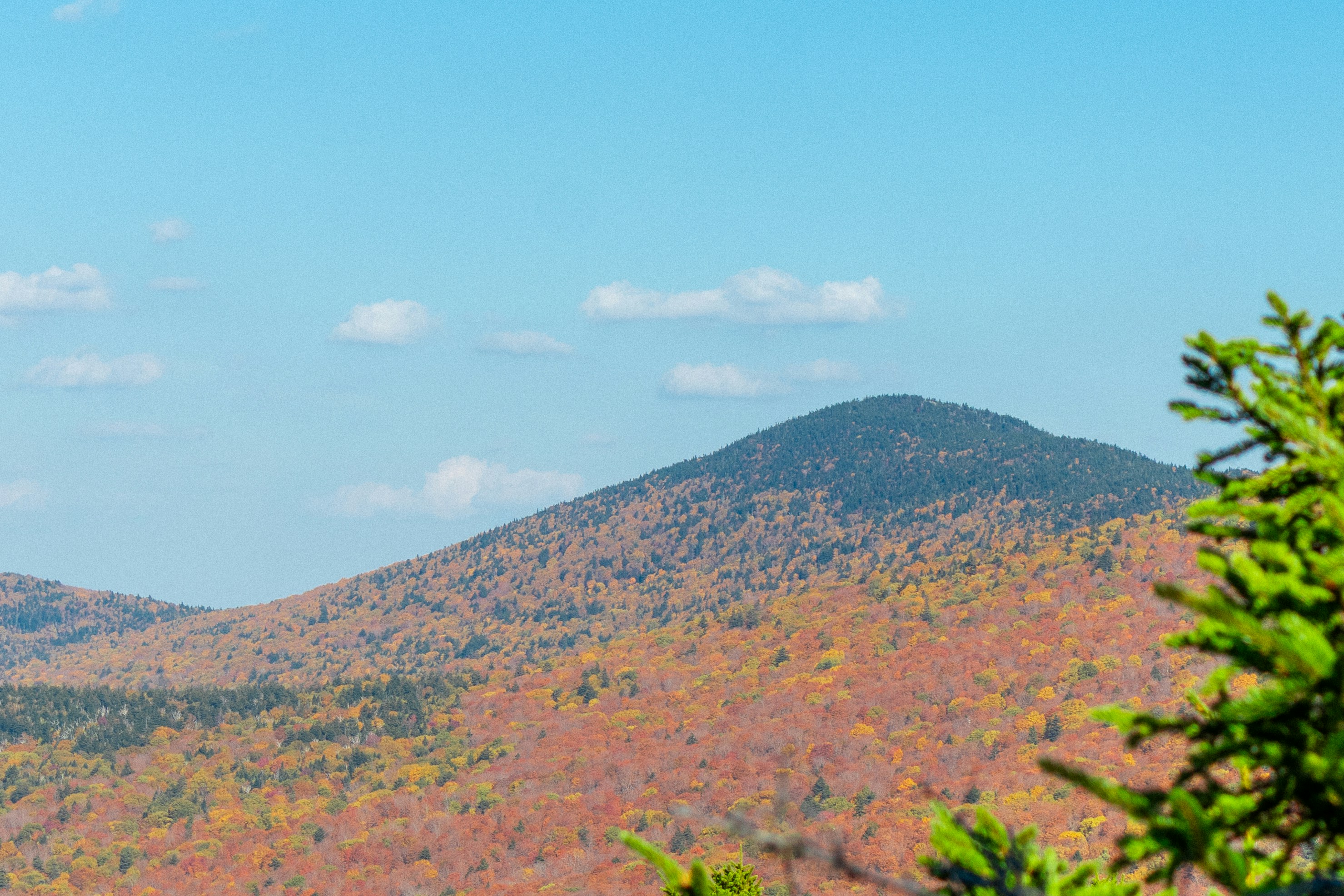 Photo by ivanhenwood12