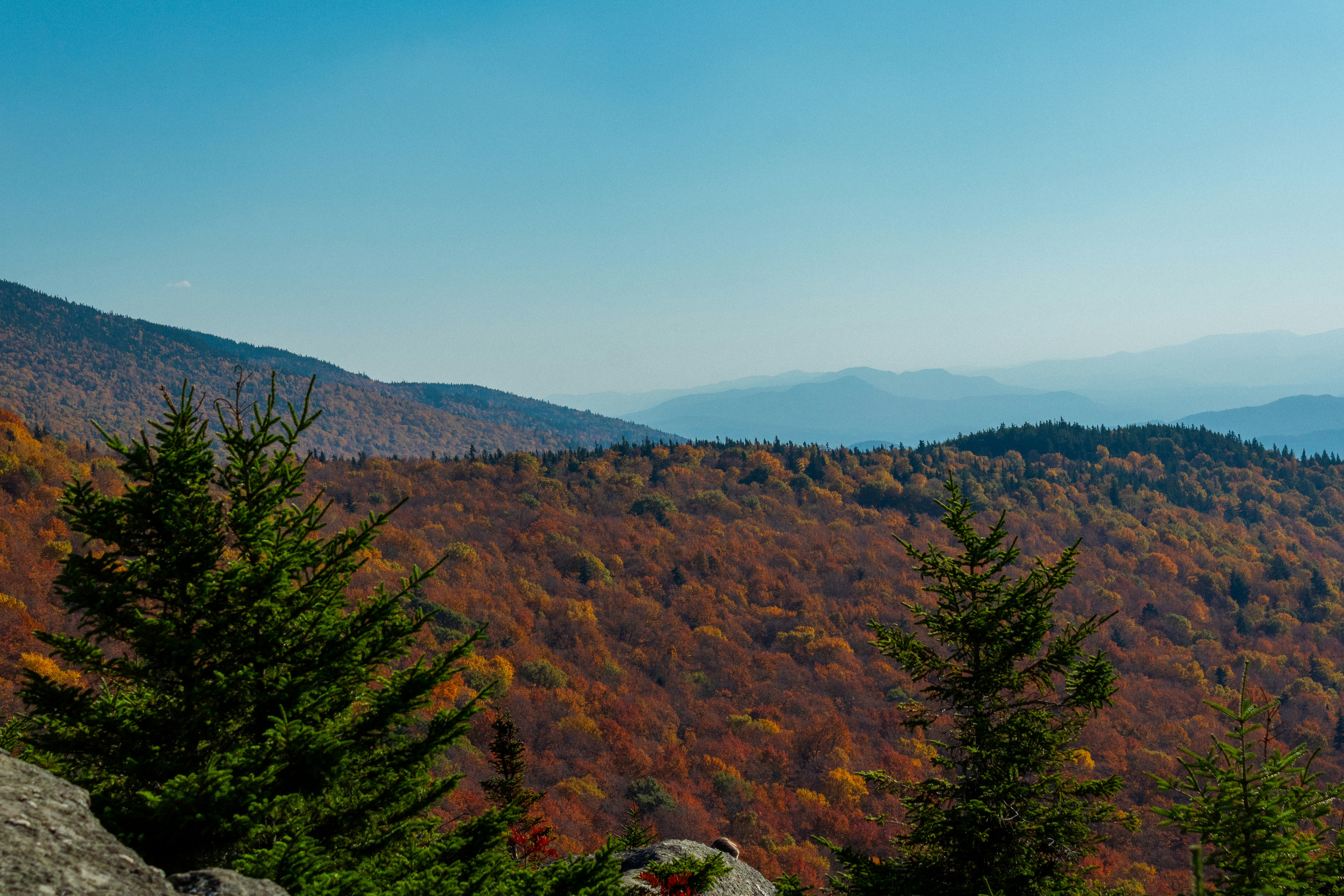 Photo by ivanhenwood12