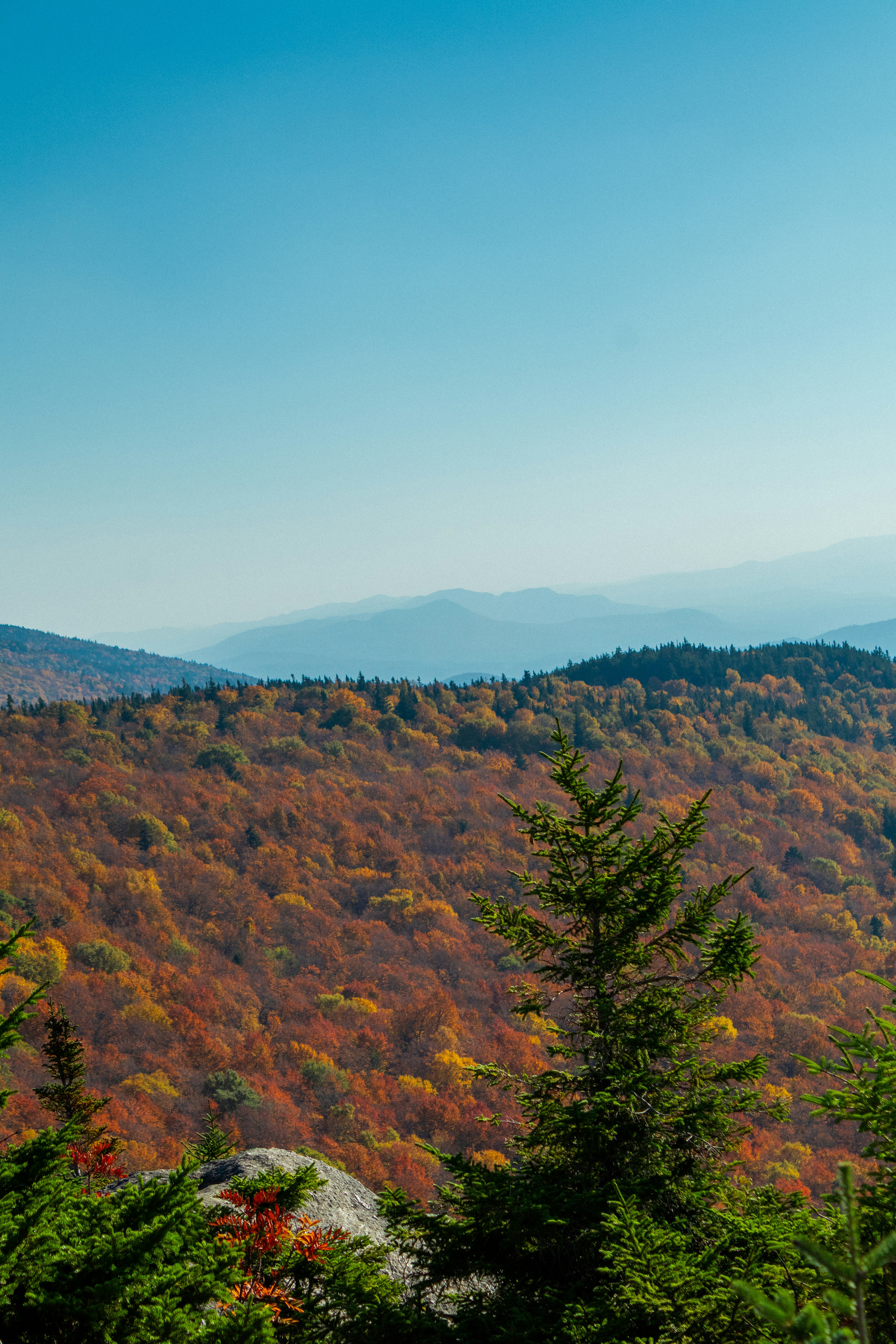 Photo by ivanhenwood12