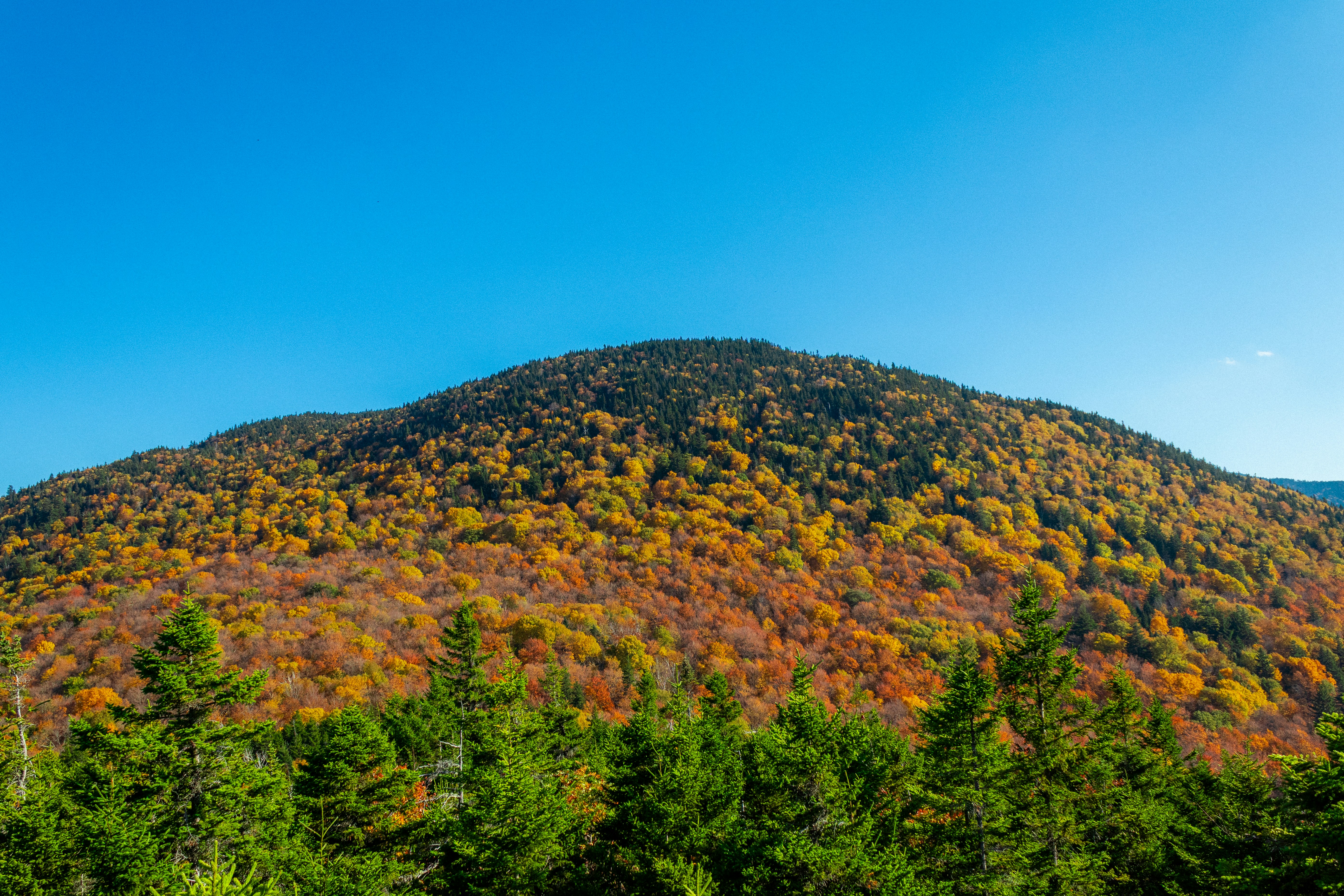 Photo by ivanhenwood12