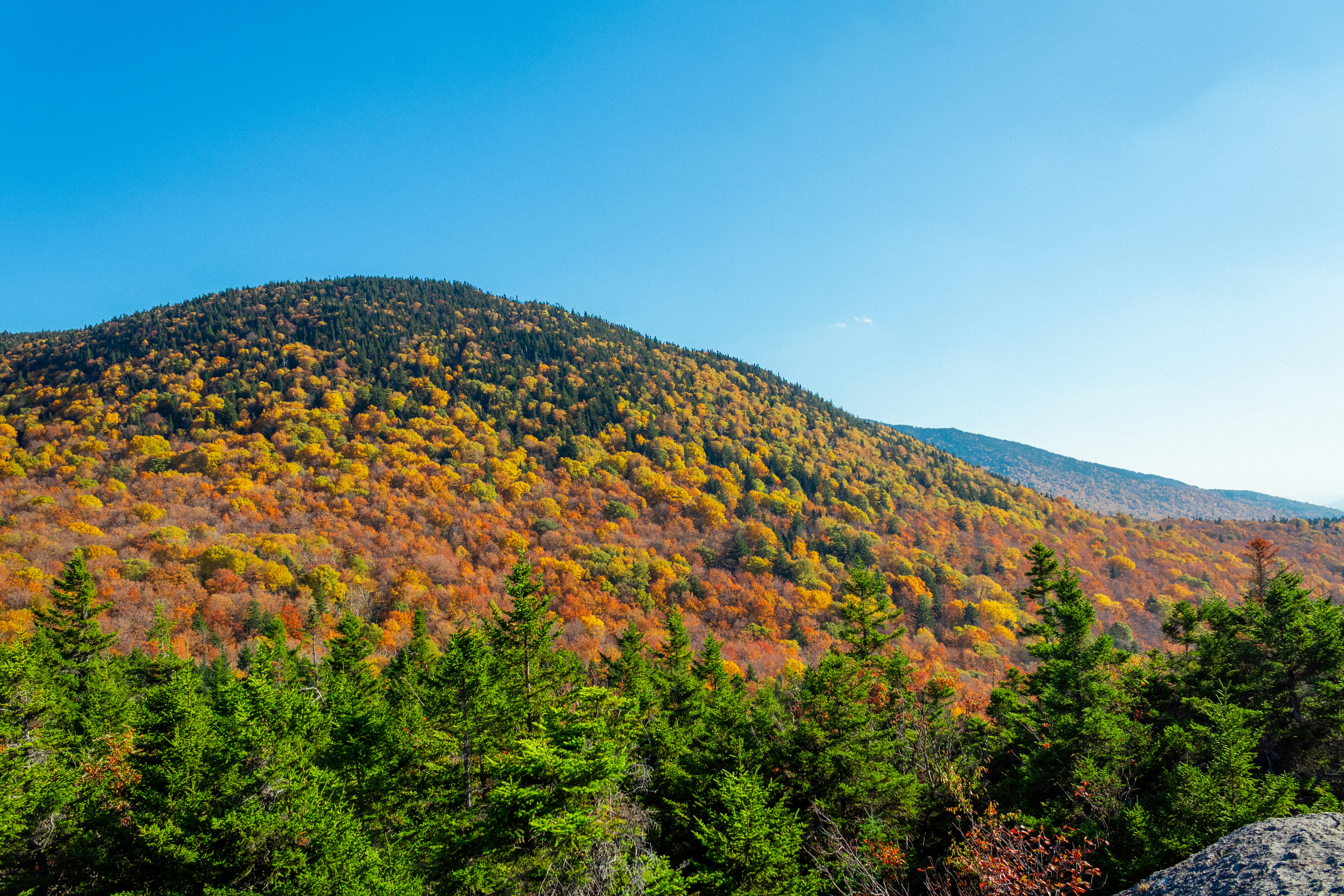 Photo by ivanhenwood12