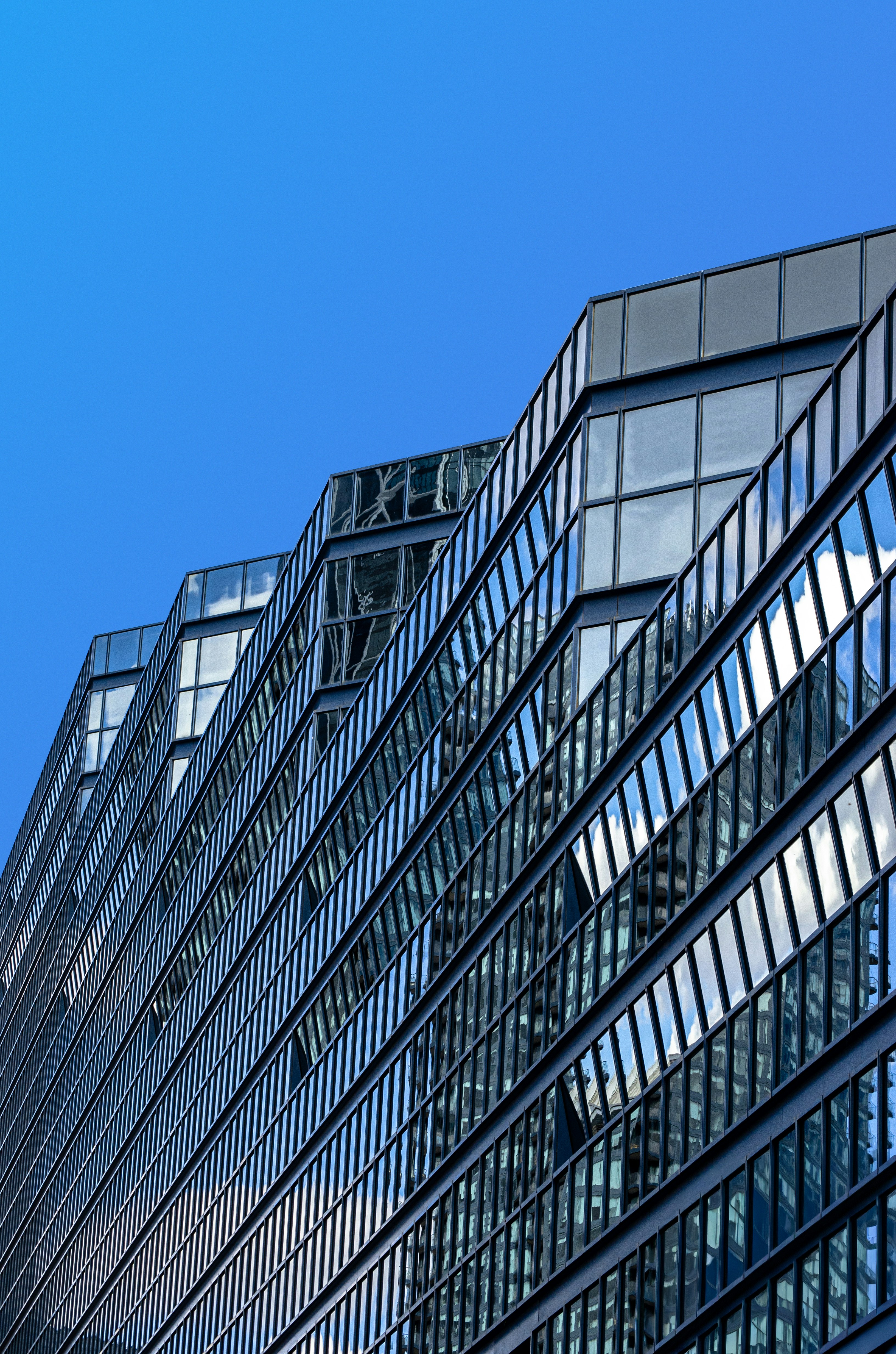 Photo by dmytro_yarish