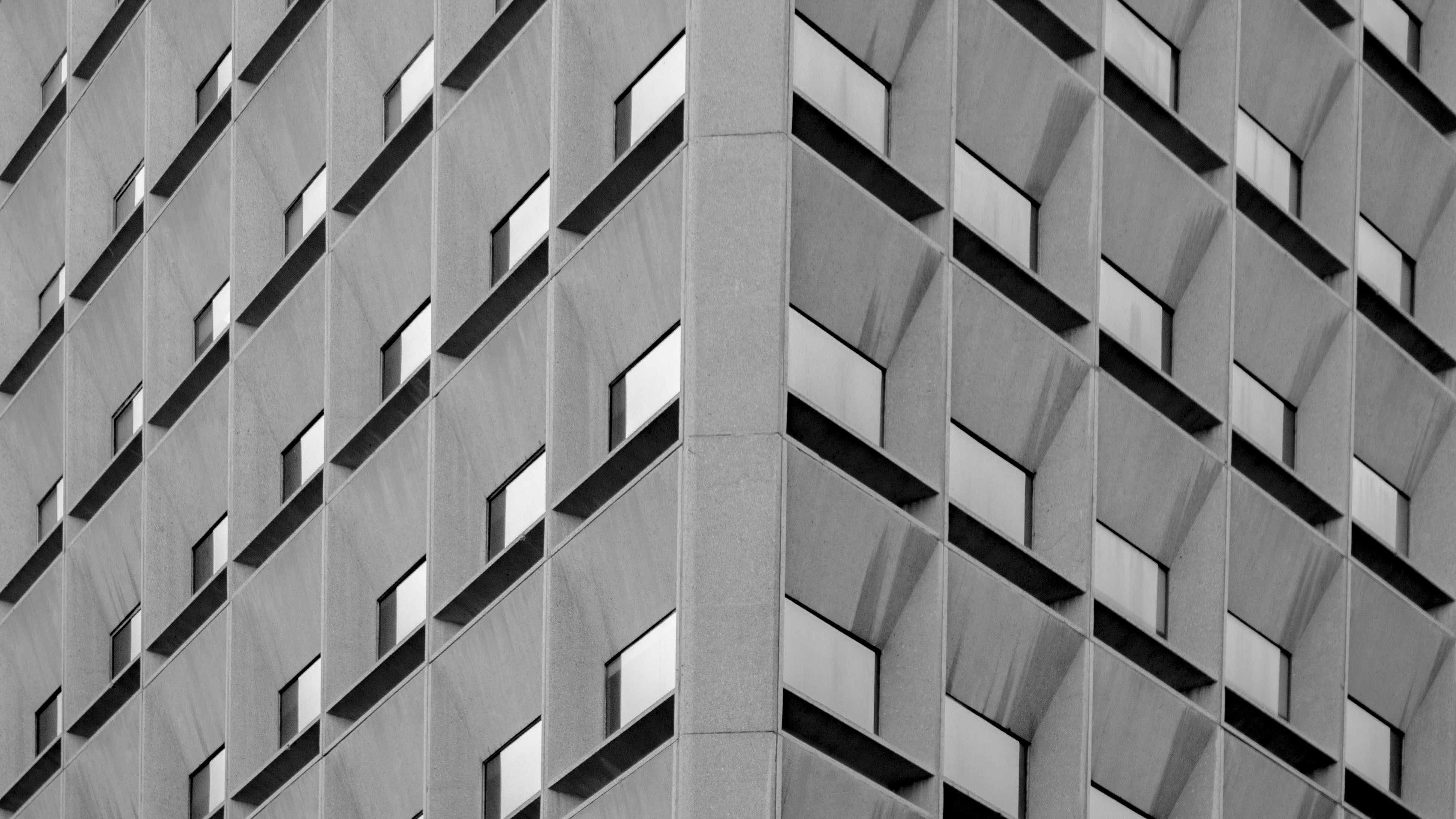 Photo by dmytro_yarish