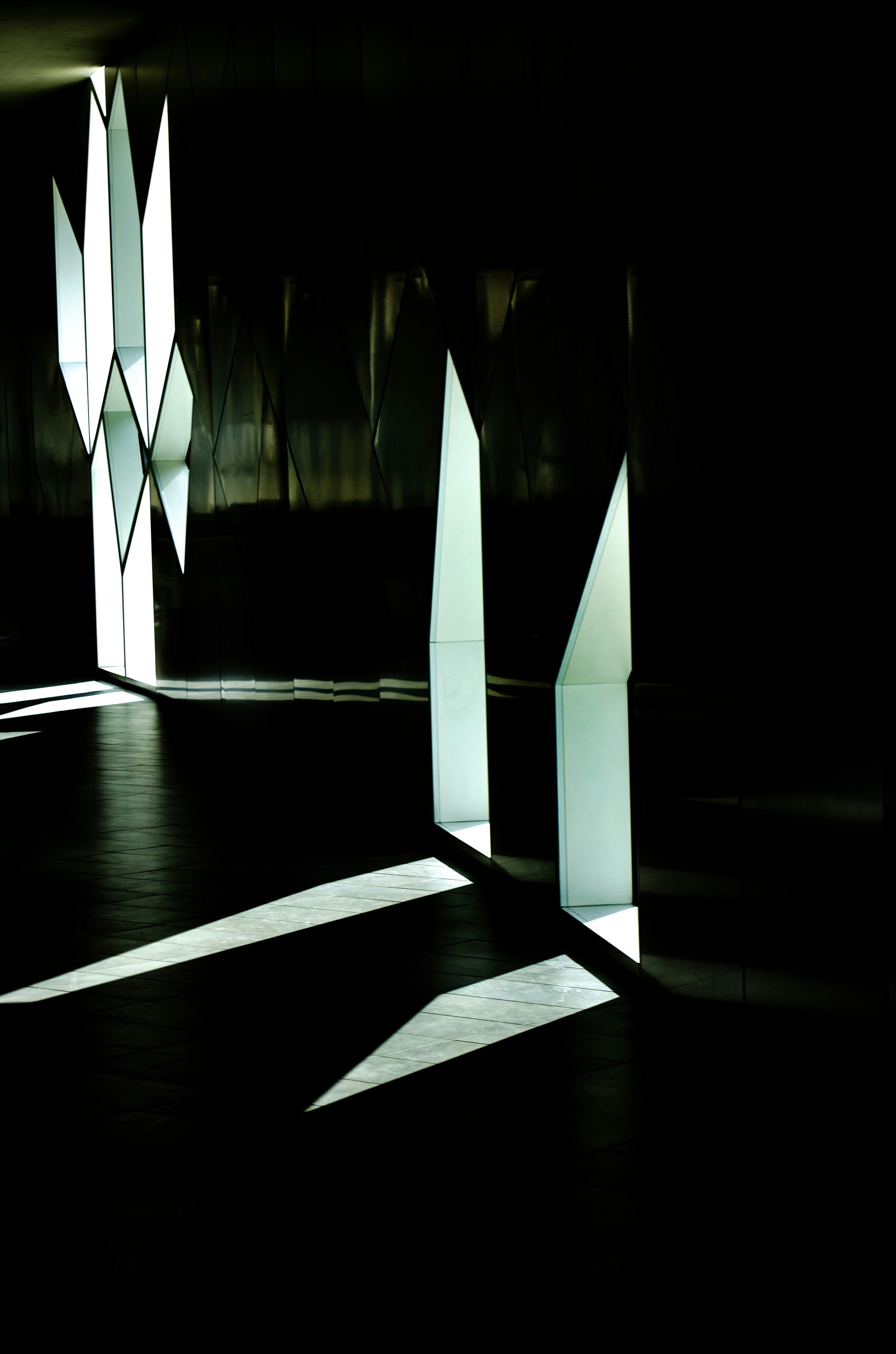 Photo by dmytro_yarish