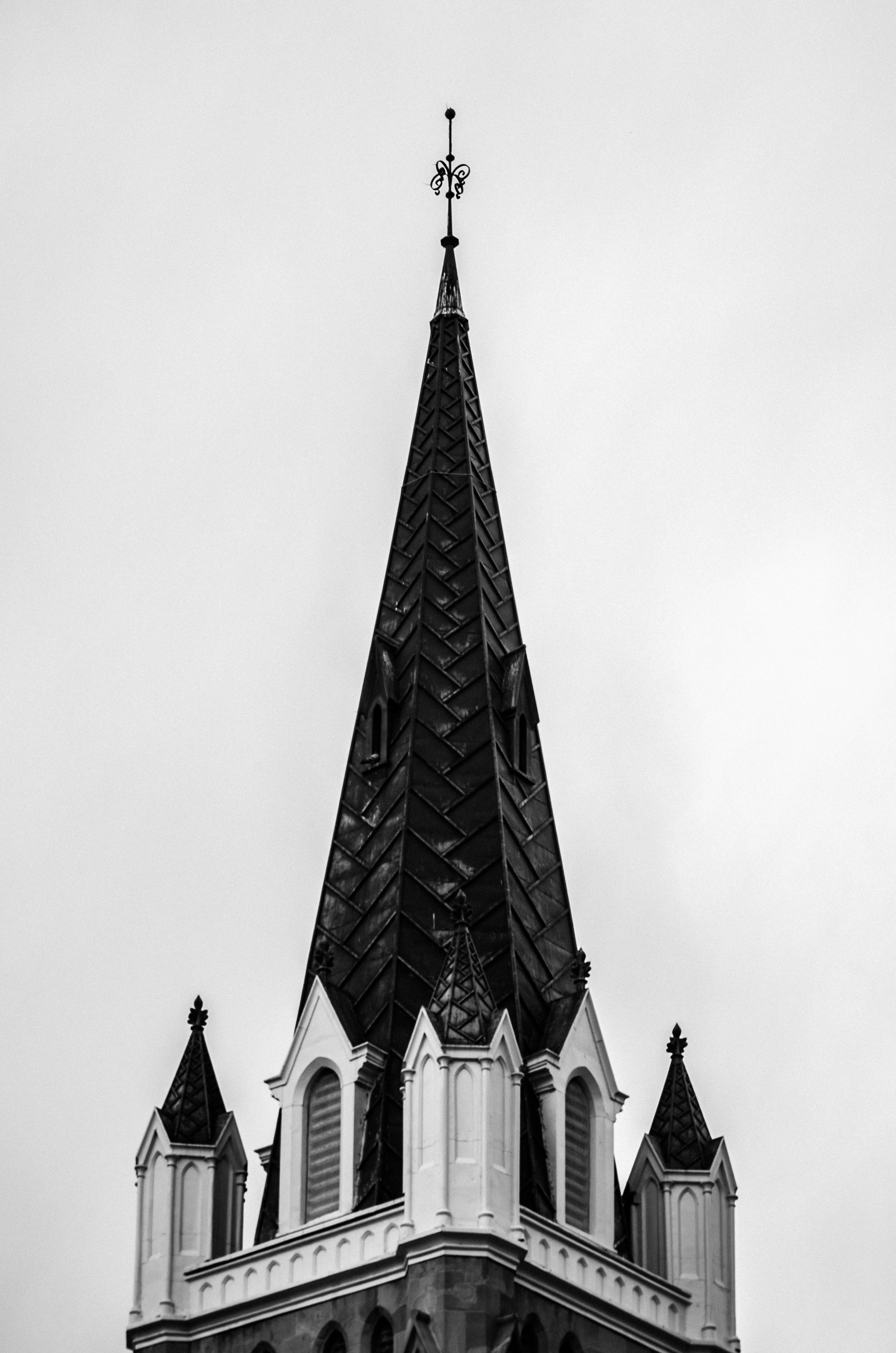 Photo by dmytro_yarish