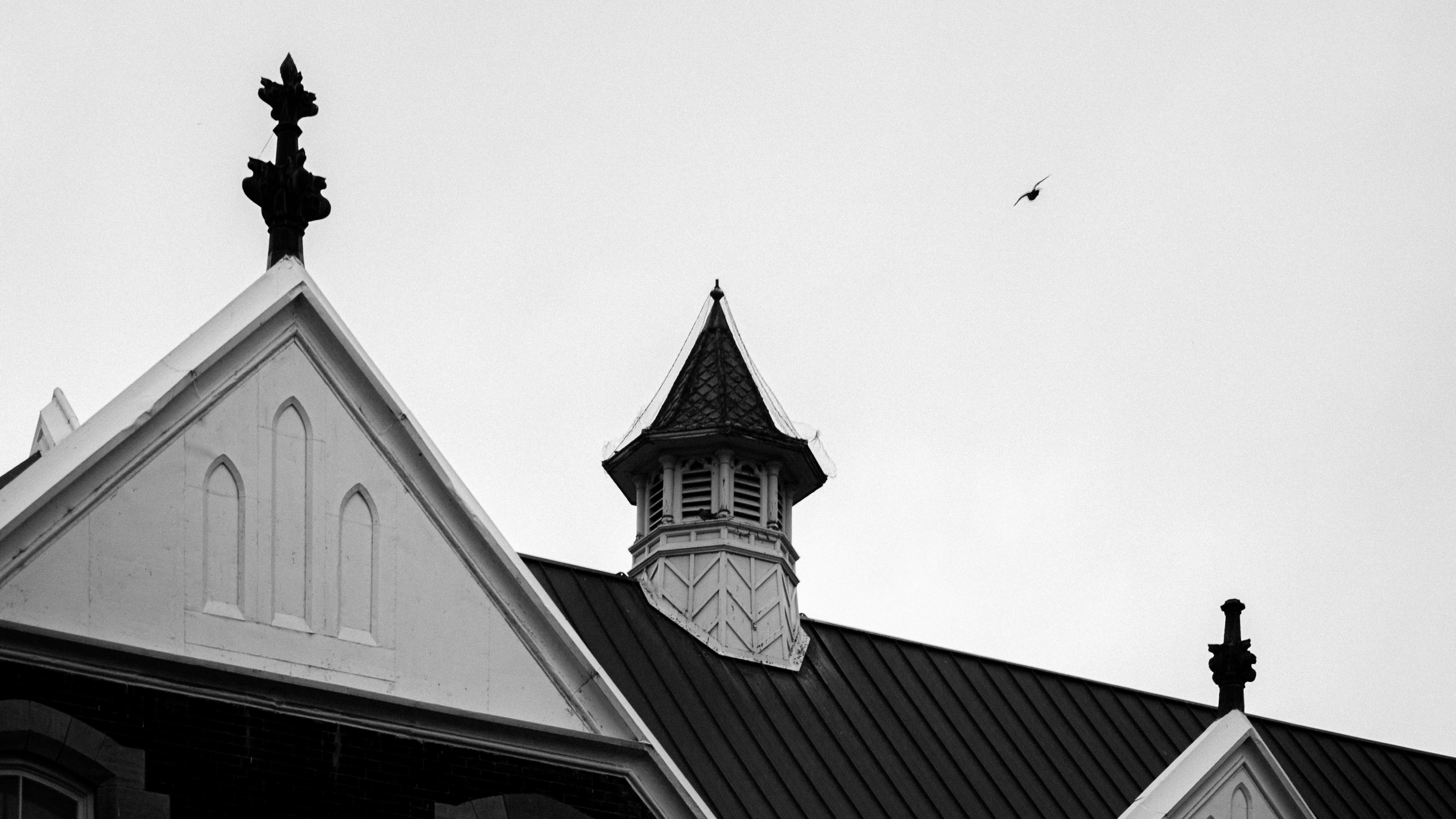 Photo by dmytro_yarish