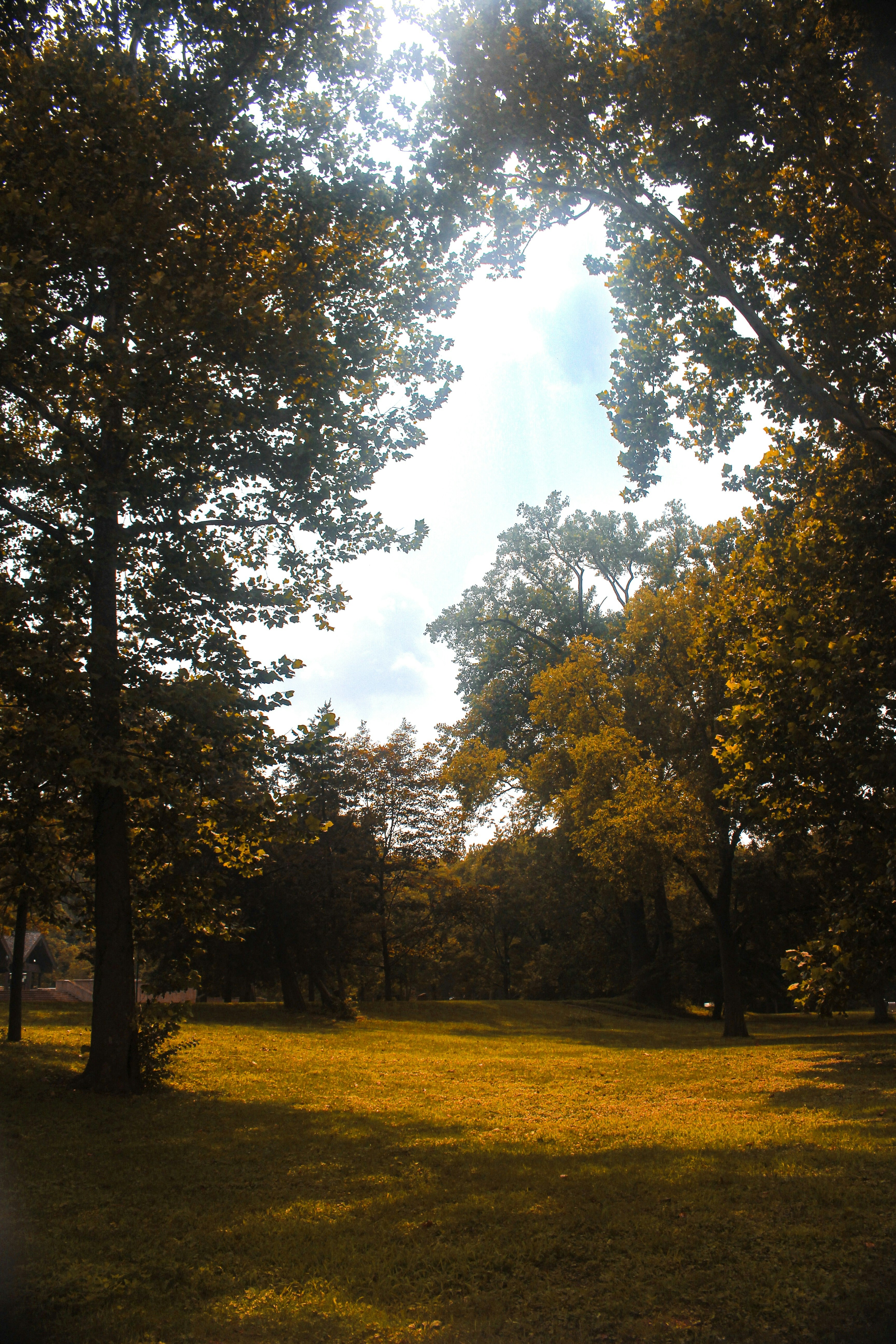 Photo by ayannafiles