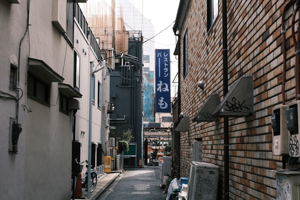 Dogenzaka Love Hotel Hill Back Alleys