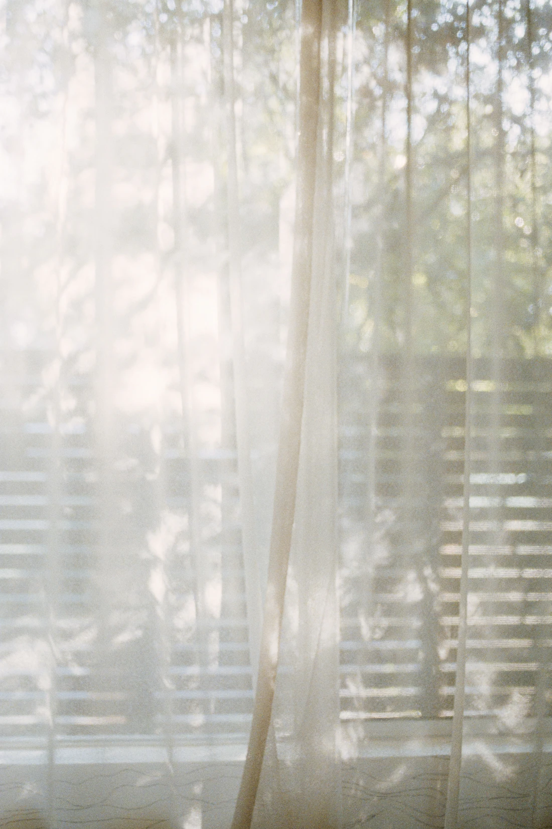 Sheer curtains with sunlight