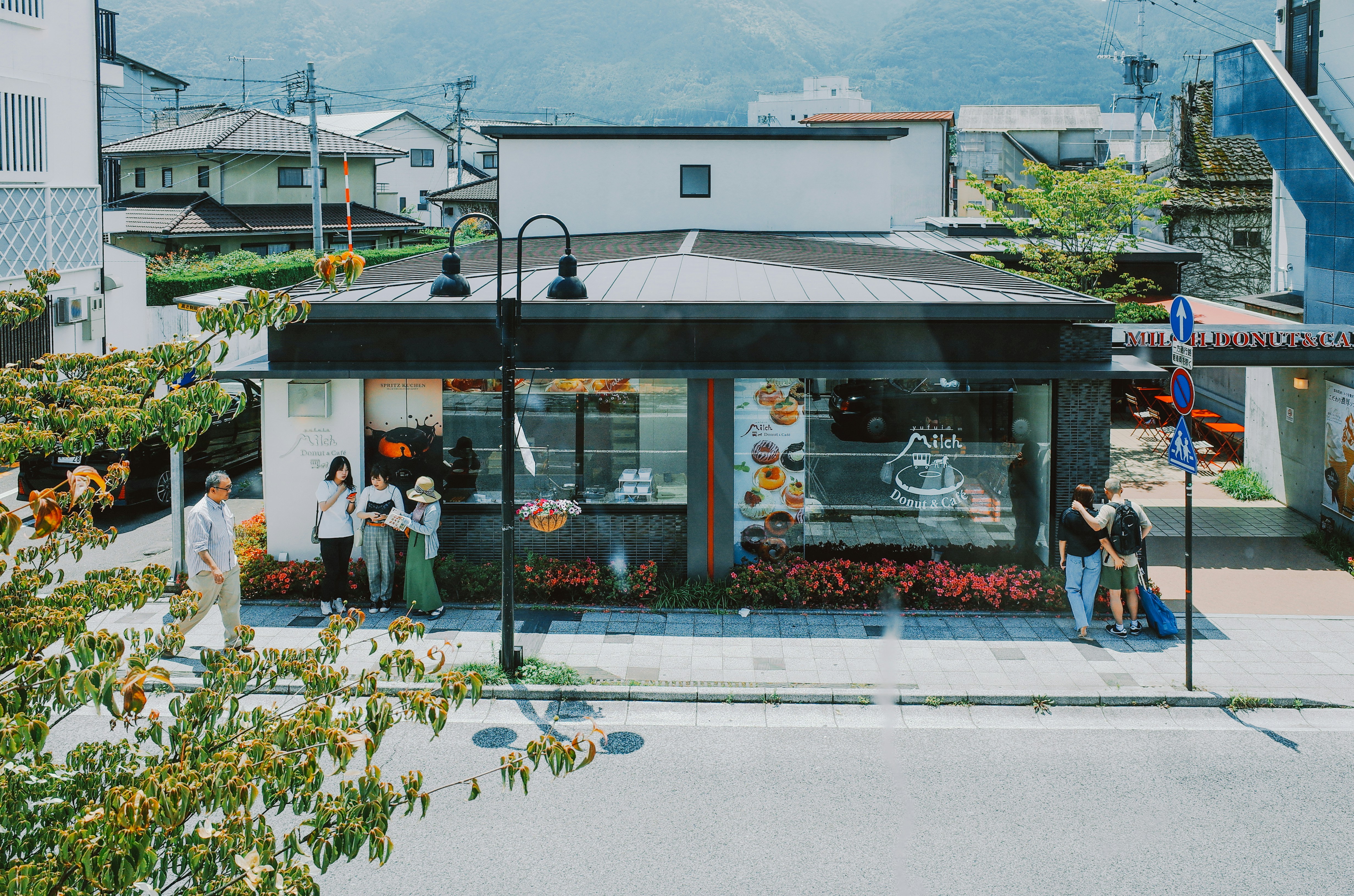Modern cafe with flower beds