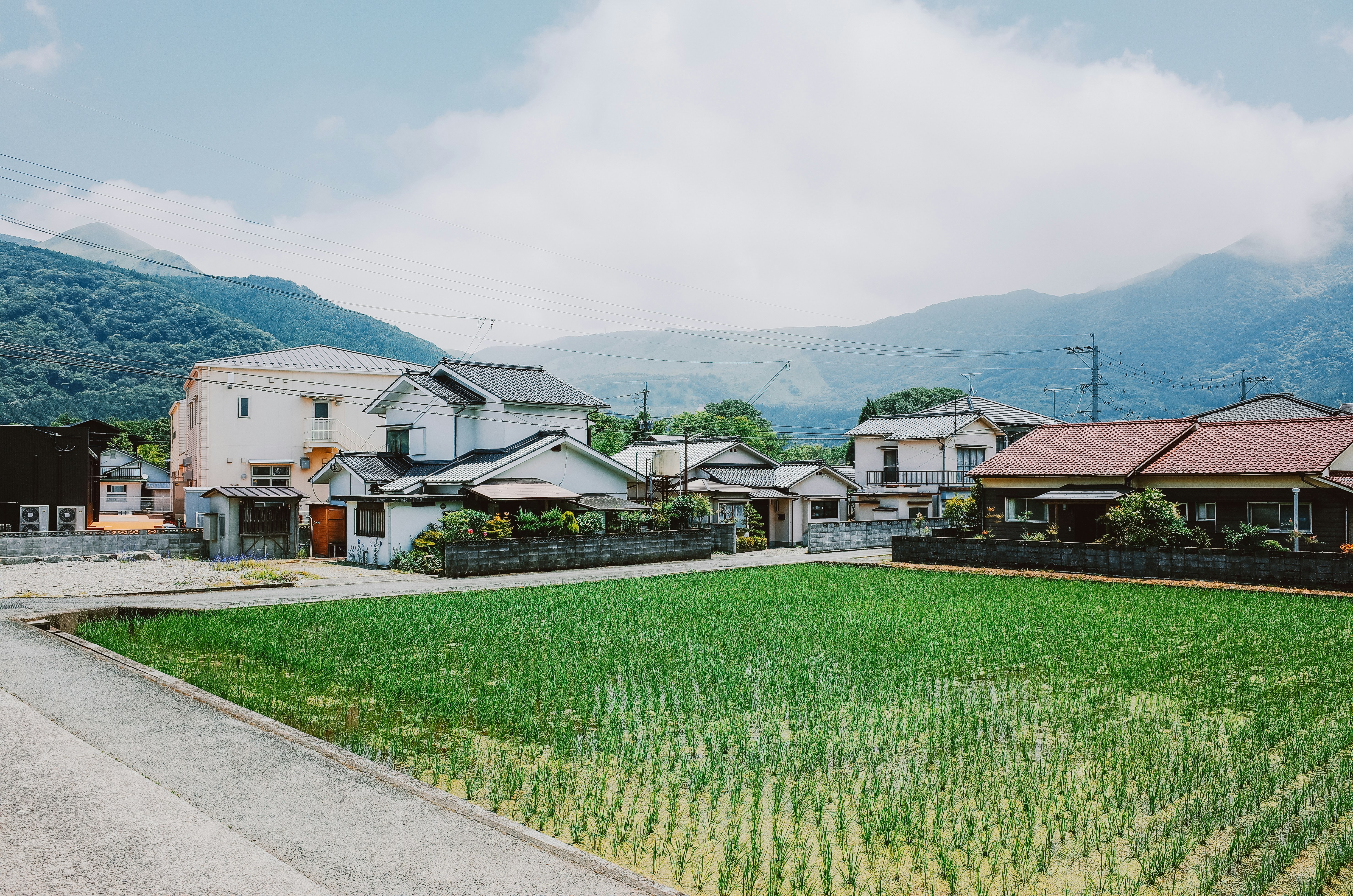 Japanese countryside innovation meeting tradition