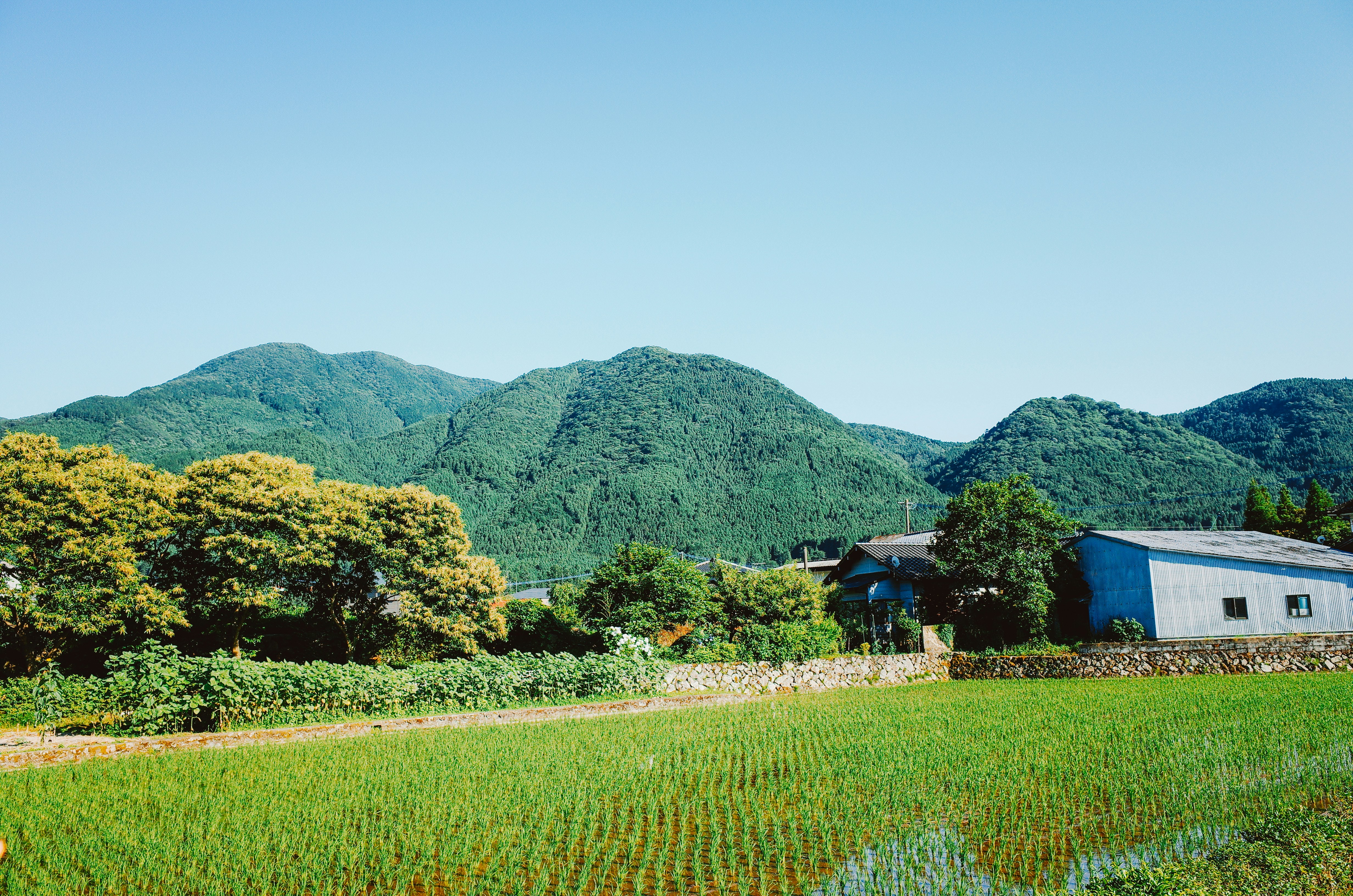 Sake tasting set in rural Japan
