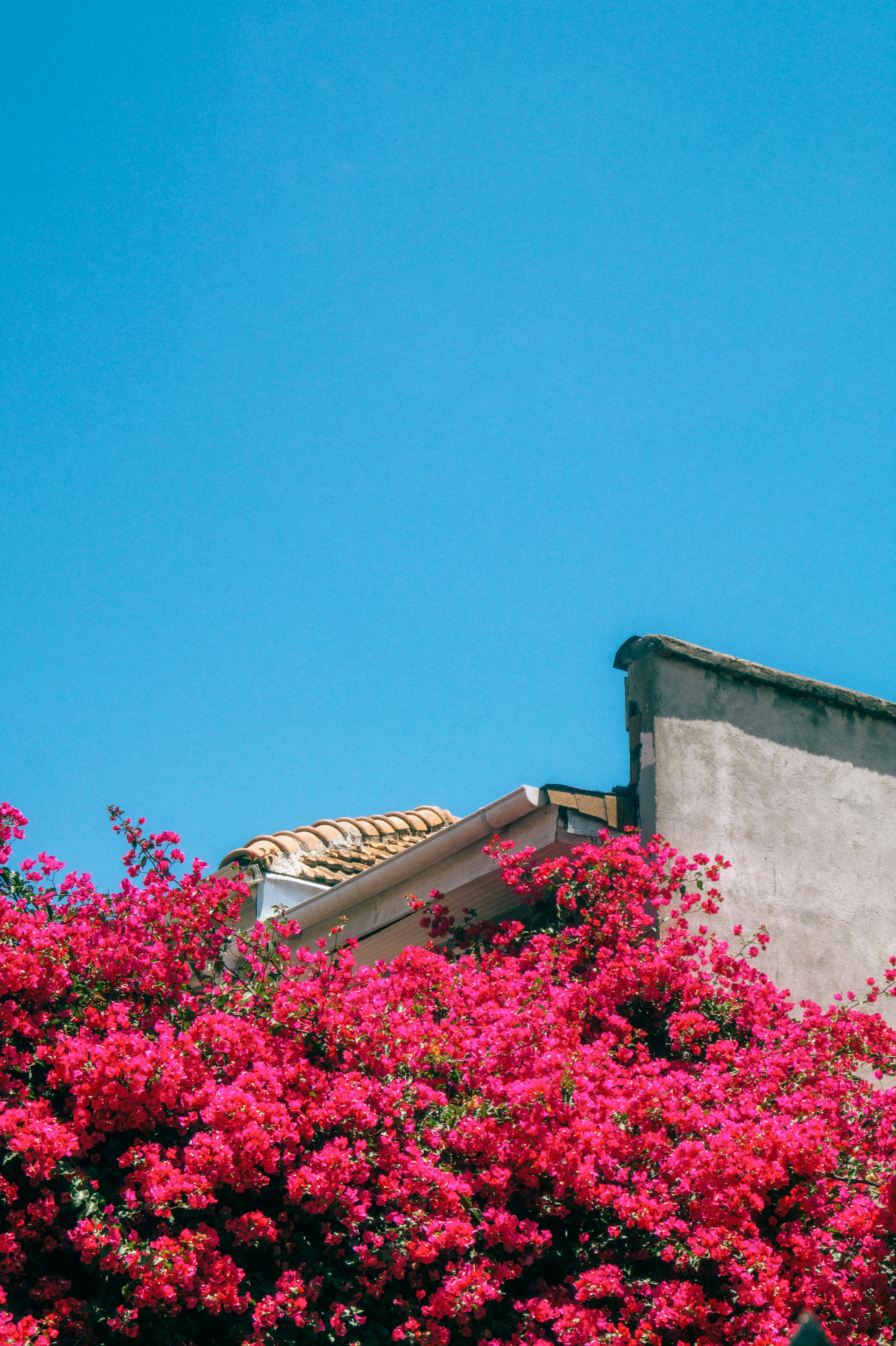 Photo by oscargumera01