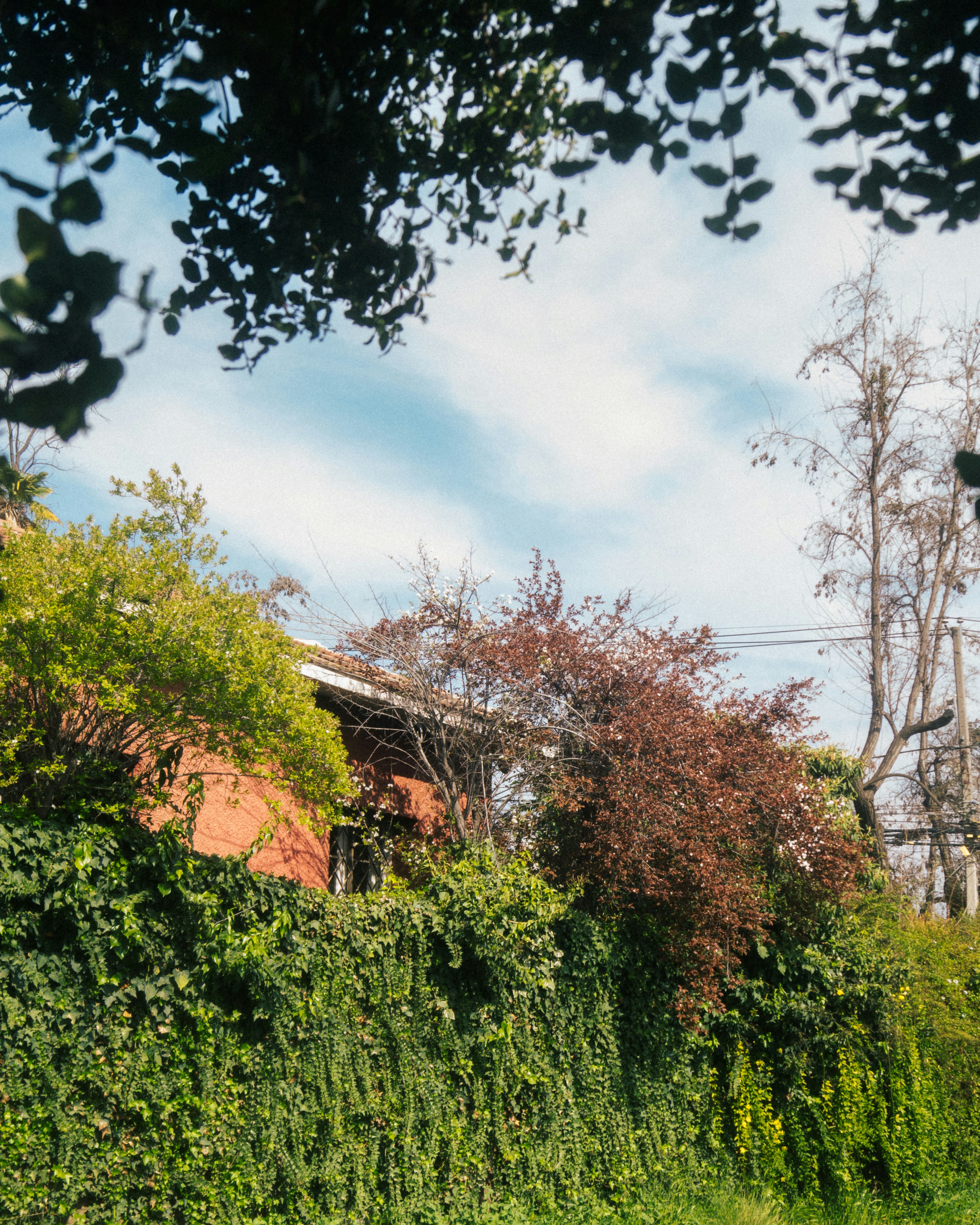 Photo by oscargumera01