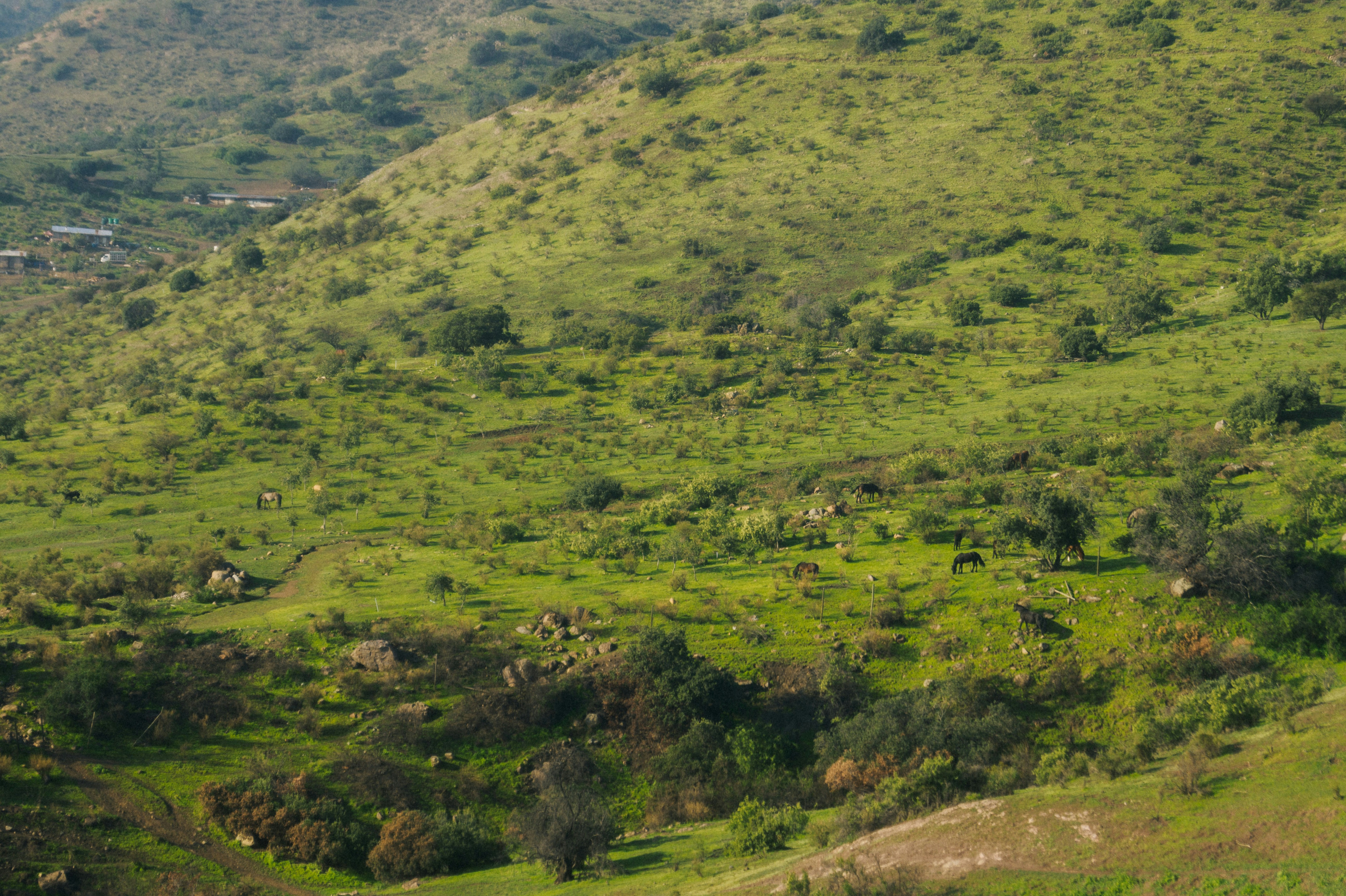 Photo by oscargumera01