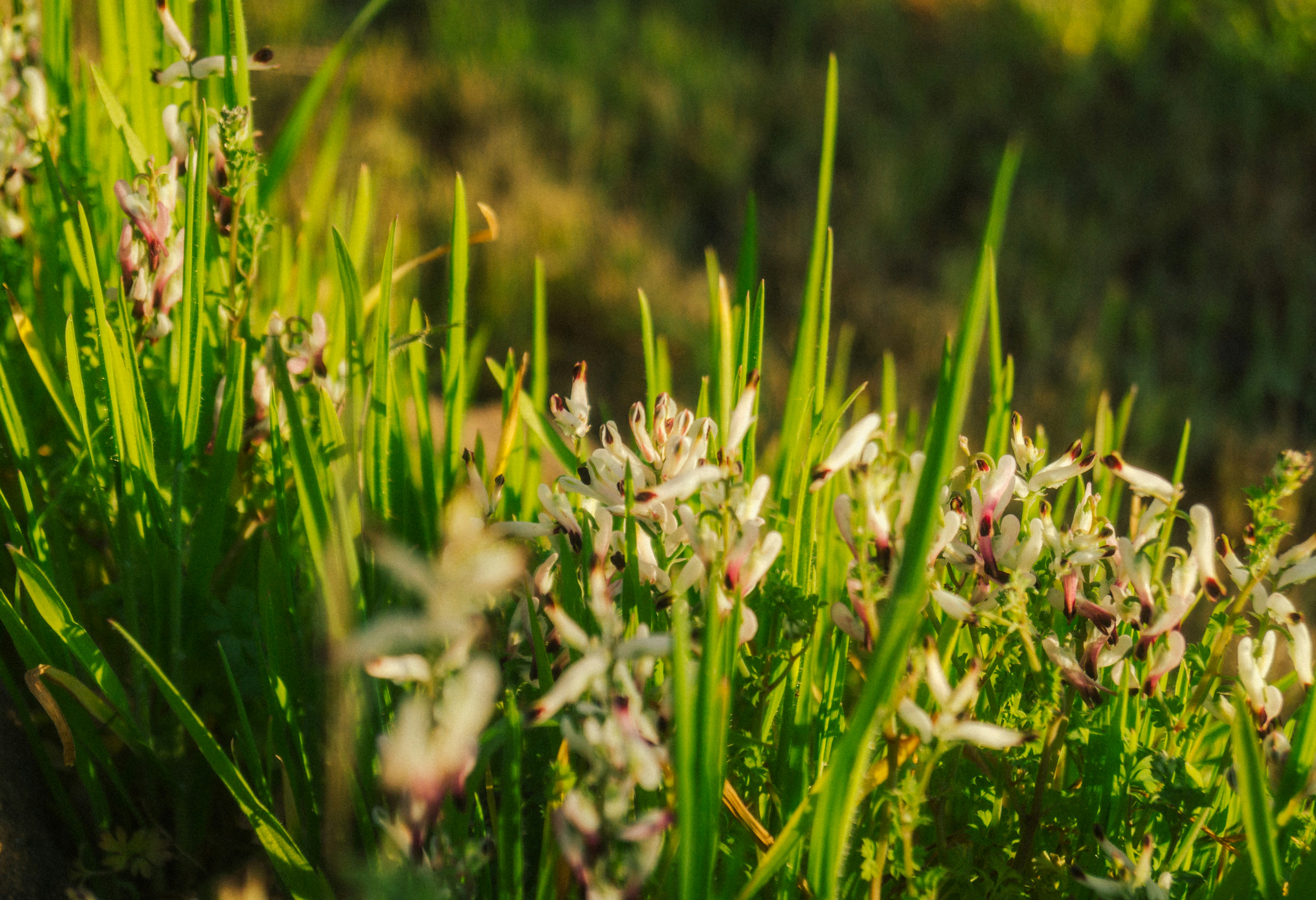 Photo by oscargumera01