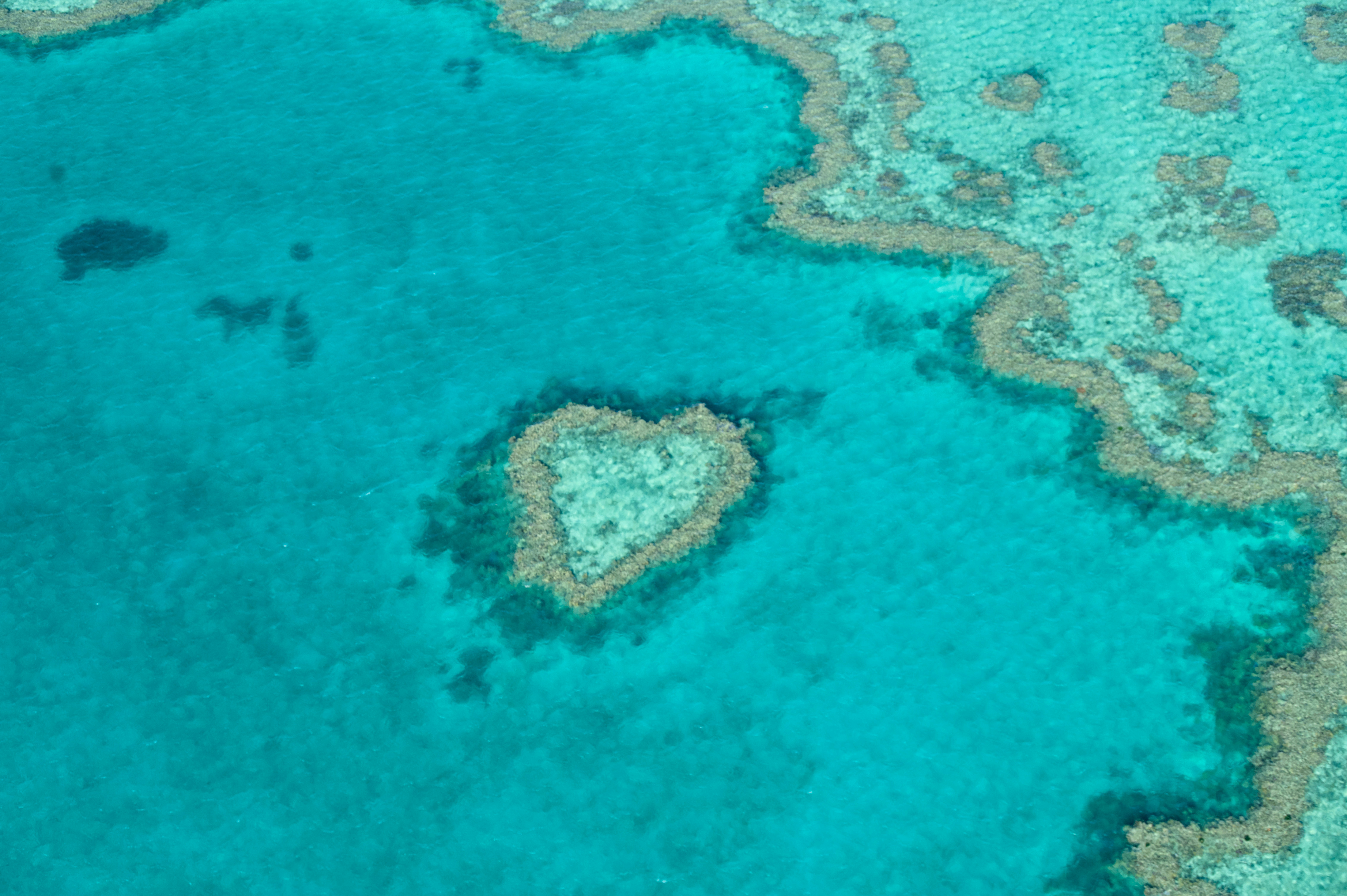 Aerial view of a heart-shaped coral reef formation
