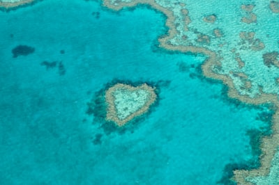 Helikopter ile Heart Reef