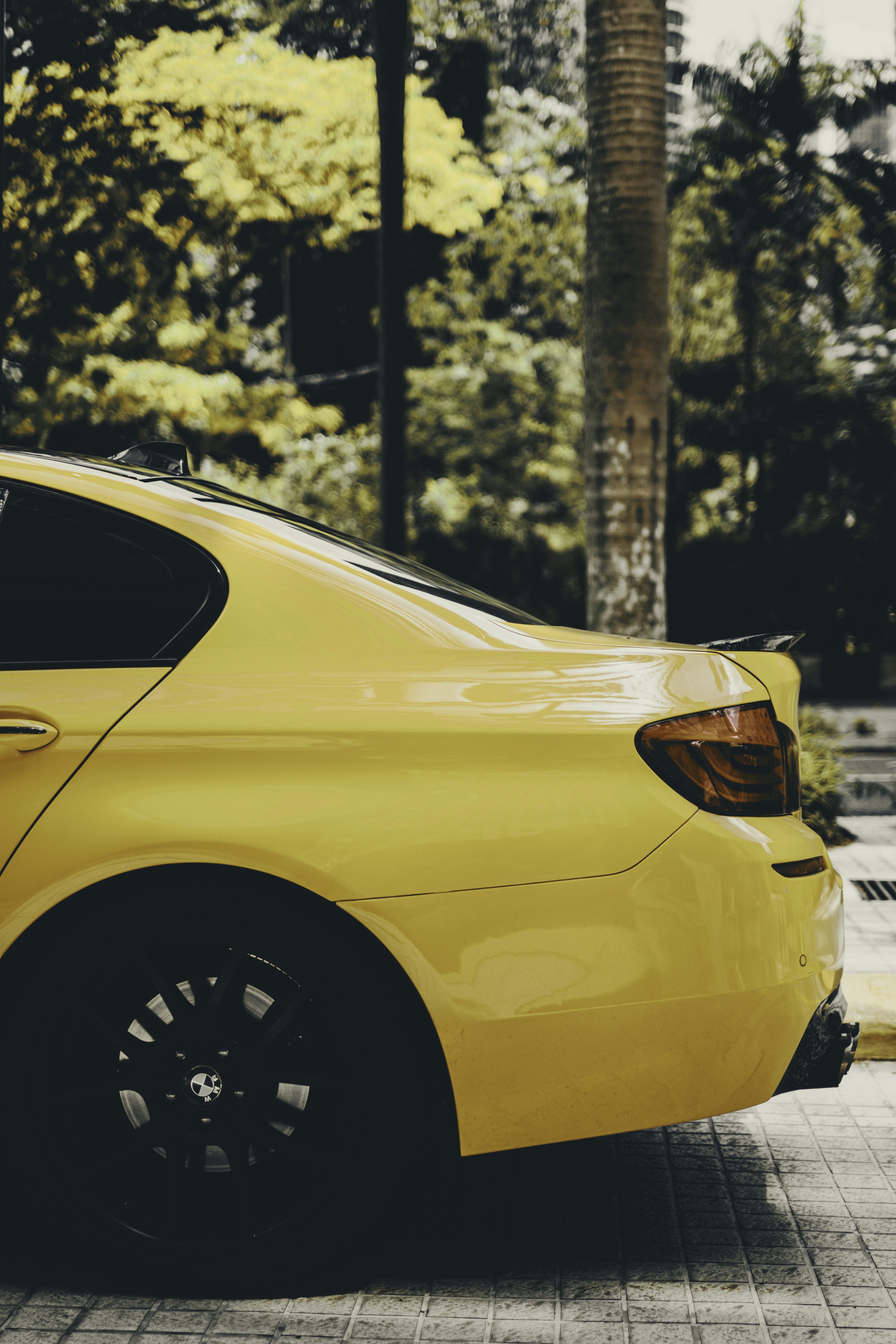 Photo by vishalcross36