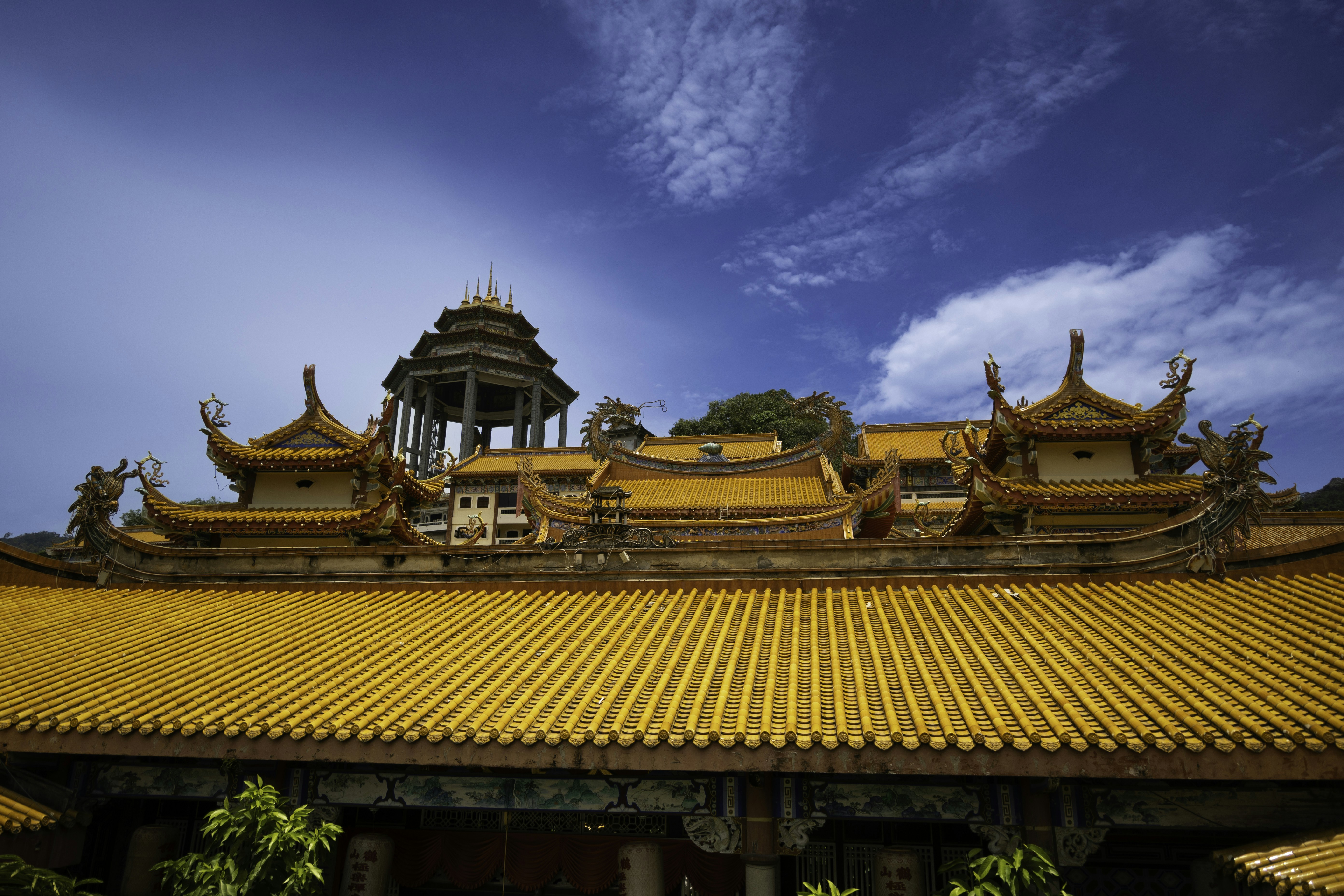 Stay Connected in Penang