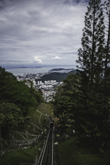 Cable Car Combo (SkyCab, SkyDome, SkyRex, 3D Art Museum)