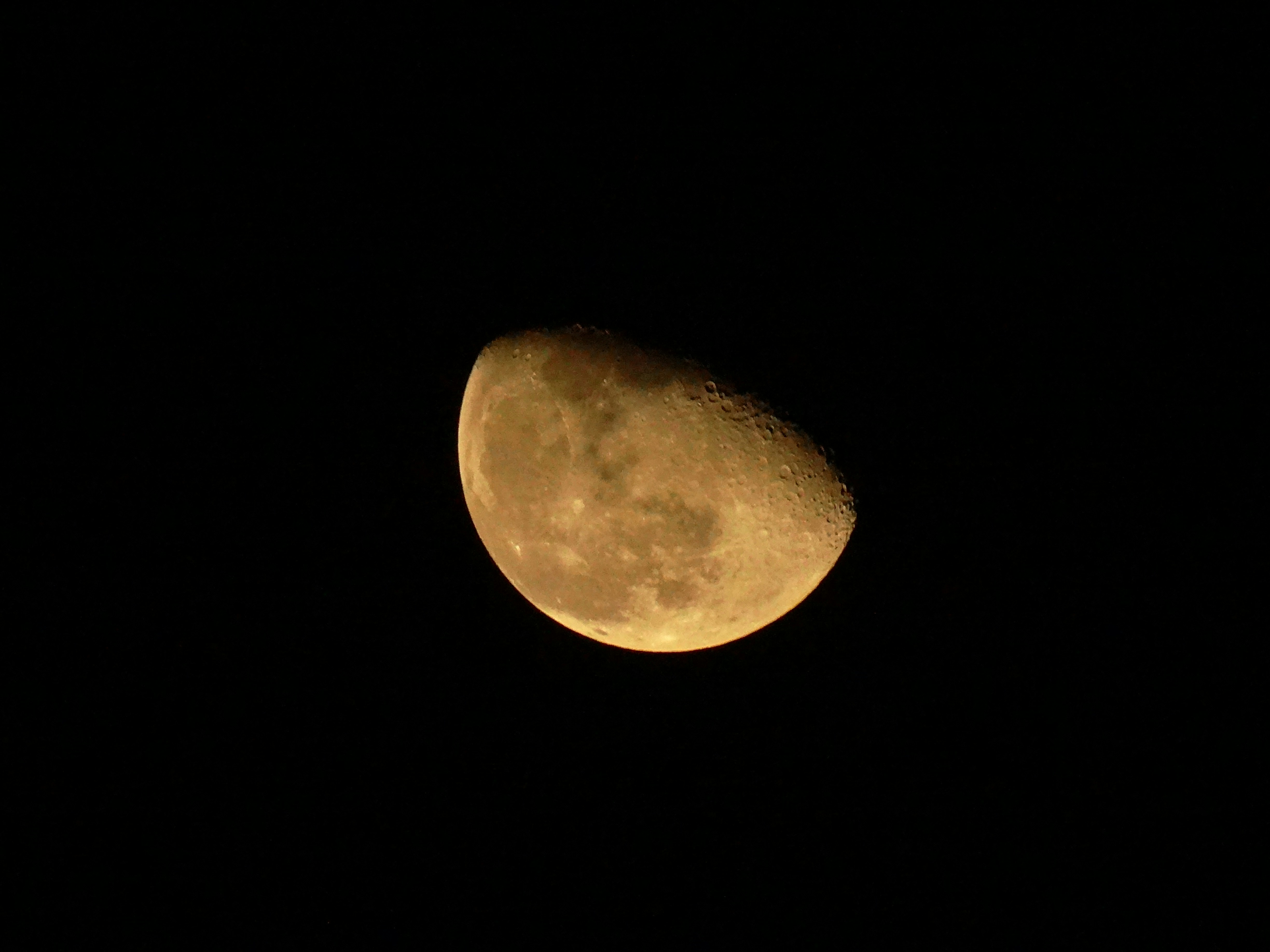A golden half moon in the dark night sky.