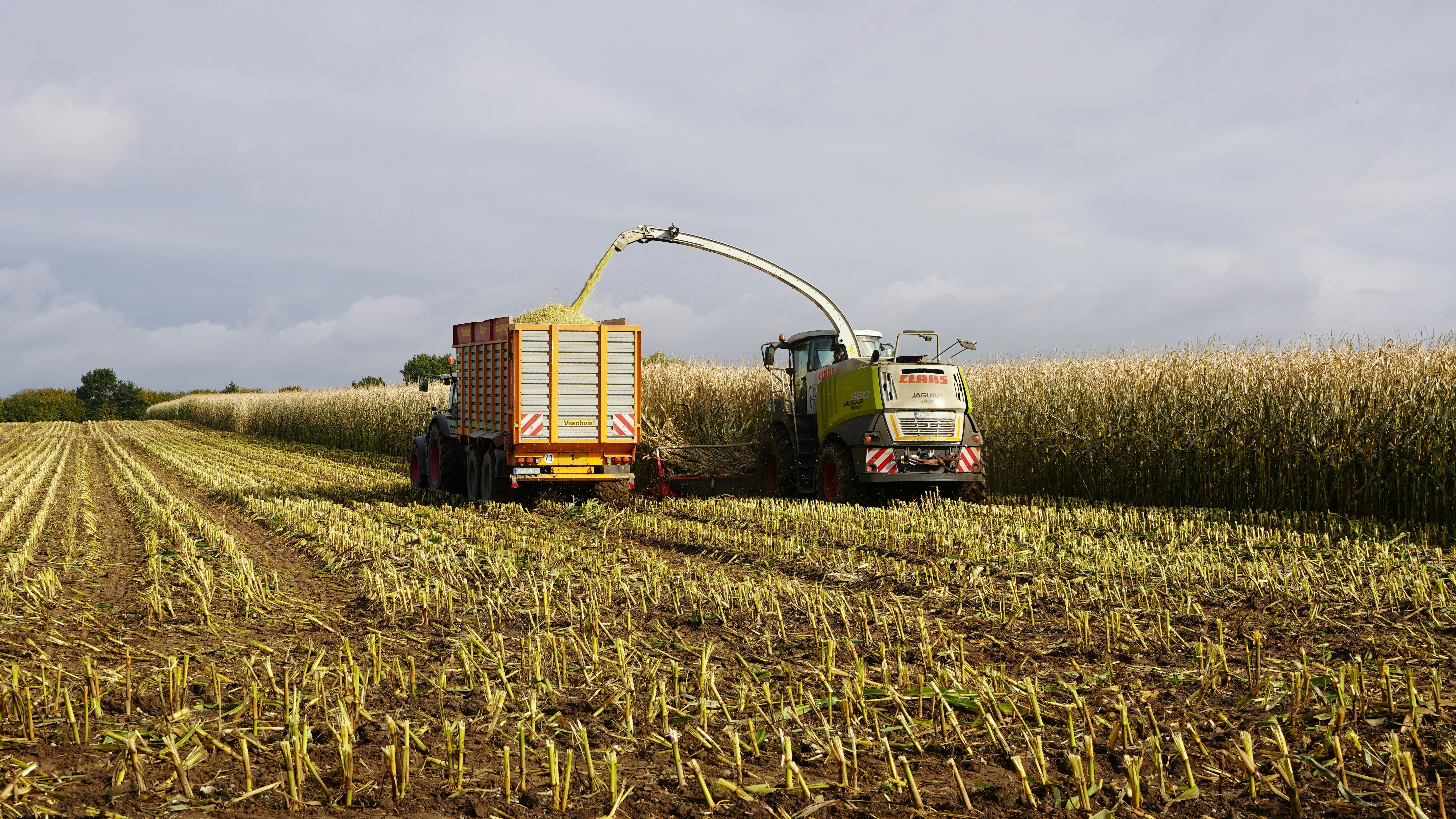 Photo by hamburgmeinefreundin