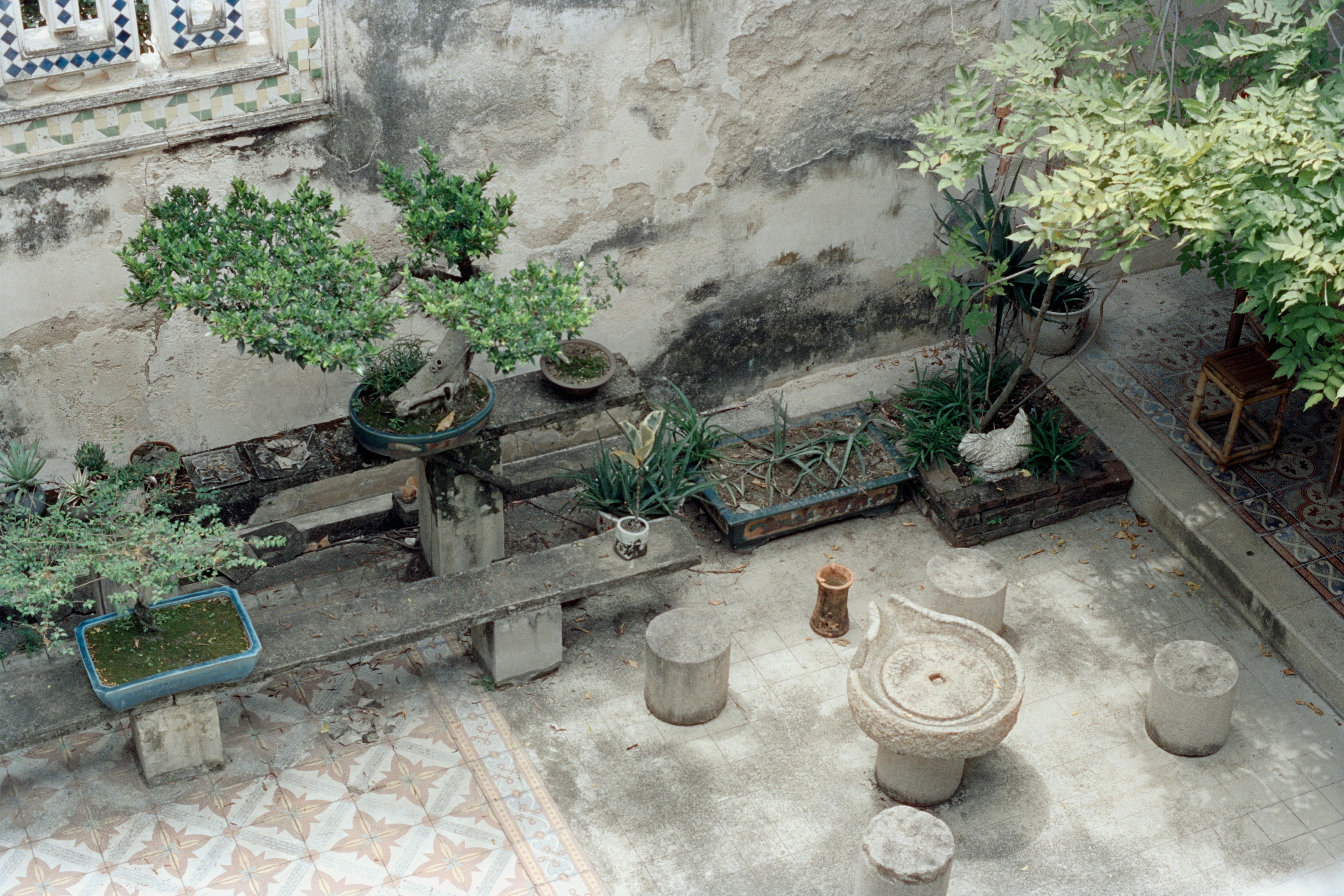 Courtyard with potted plants and seating area