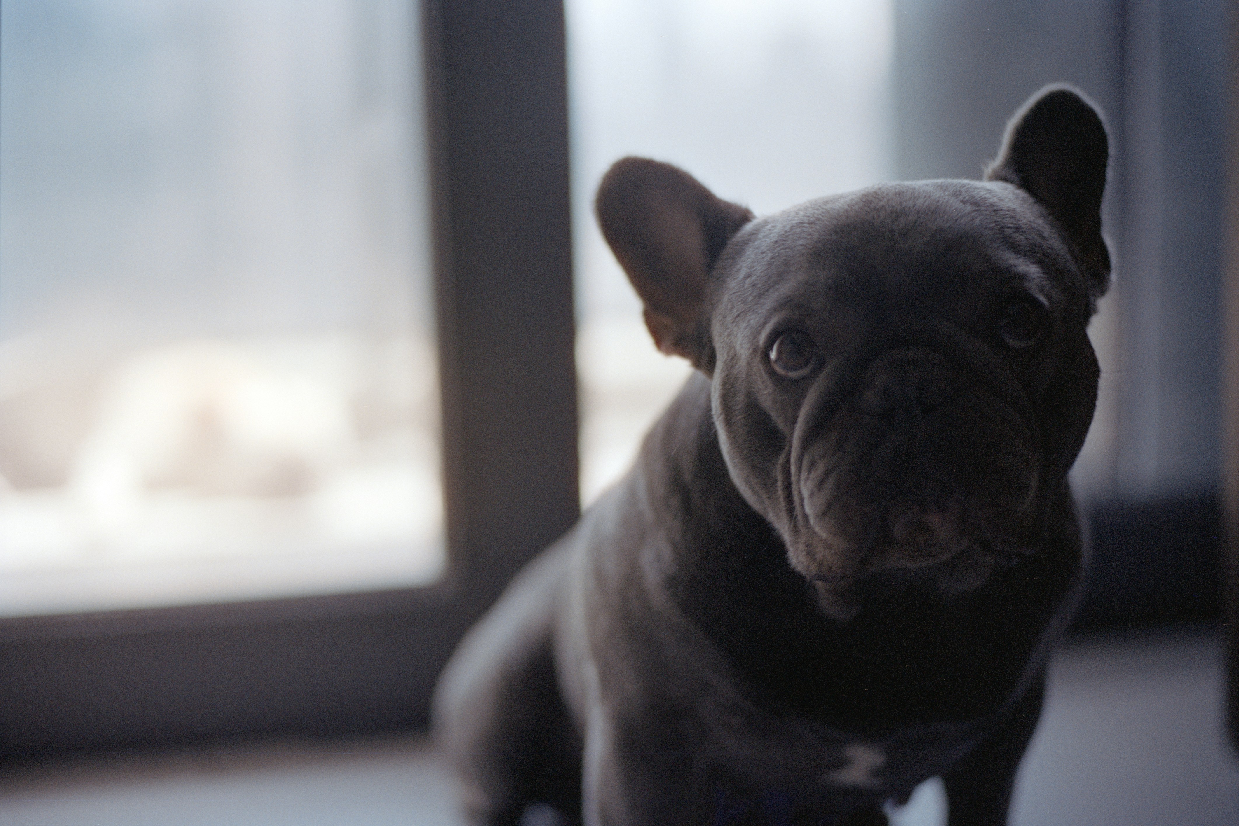 Photo by zhenyao_photo