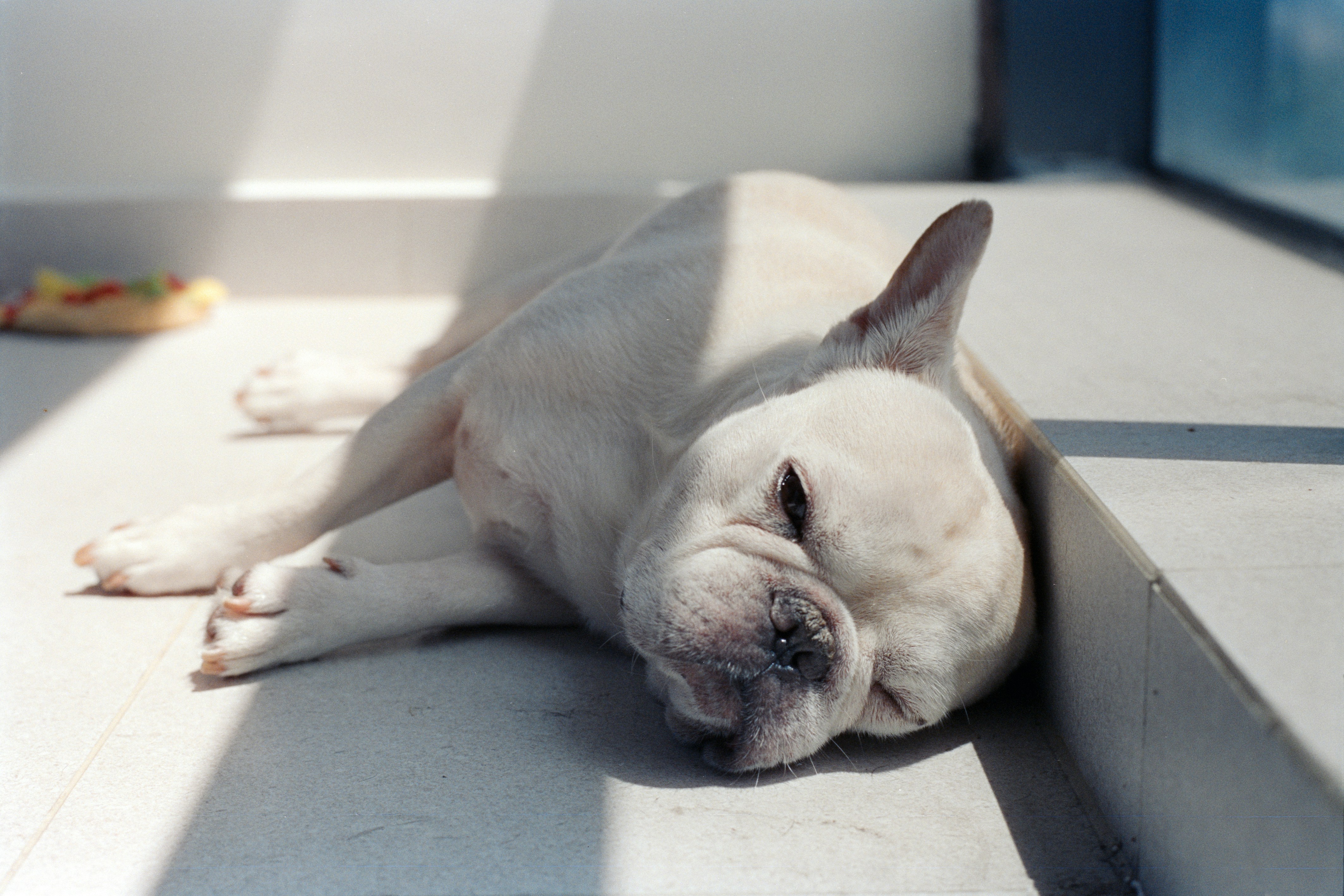 Photo by zhenyao_photo