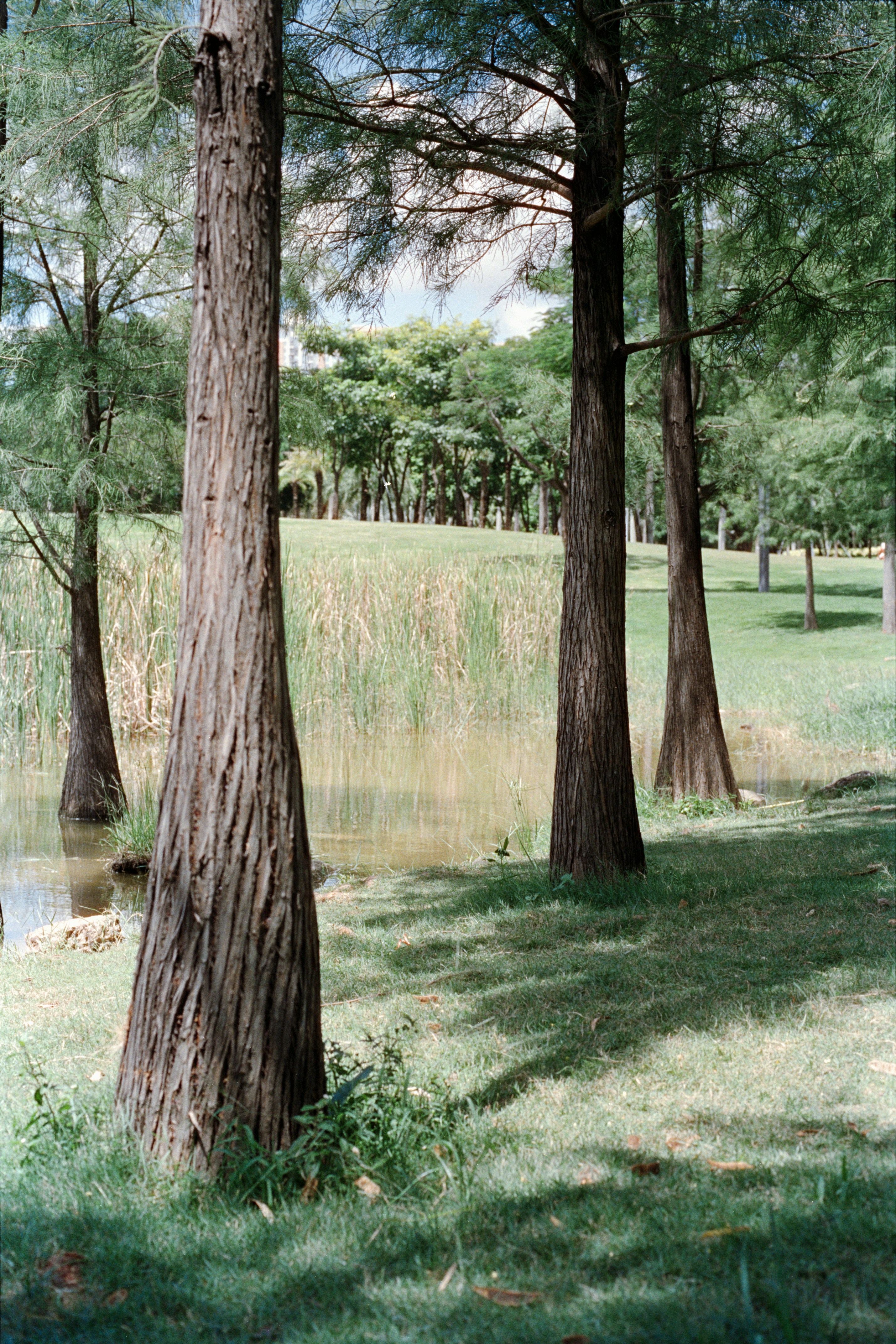 Photo by zhenyao_photo