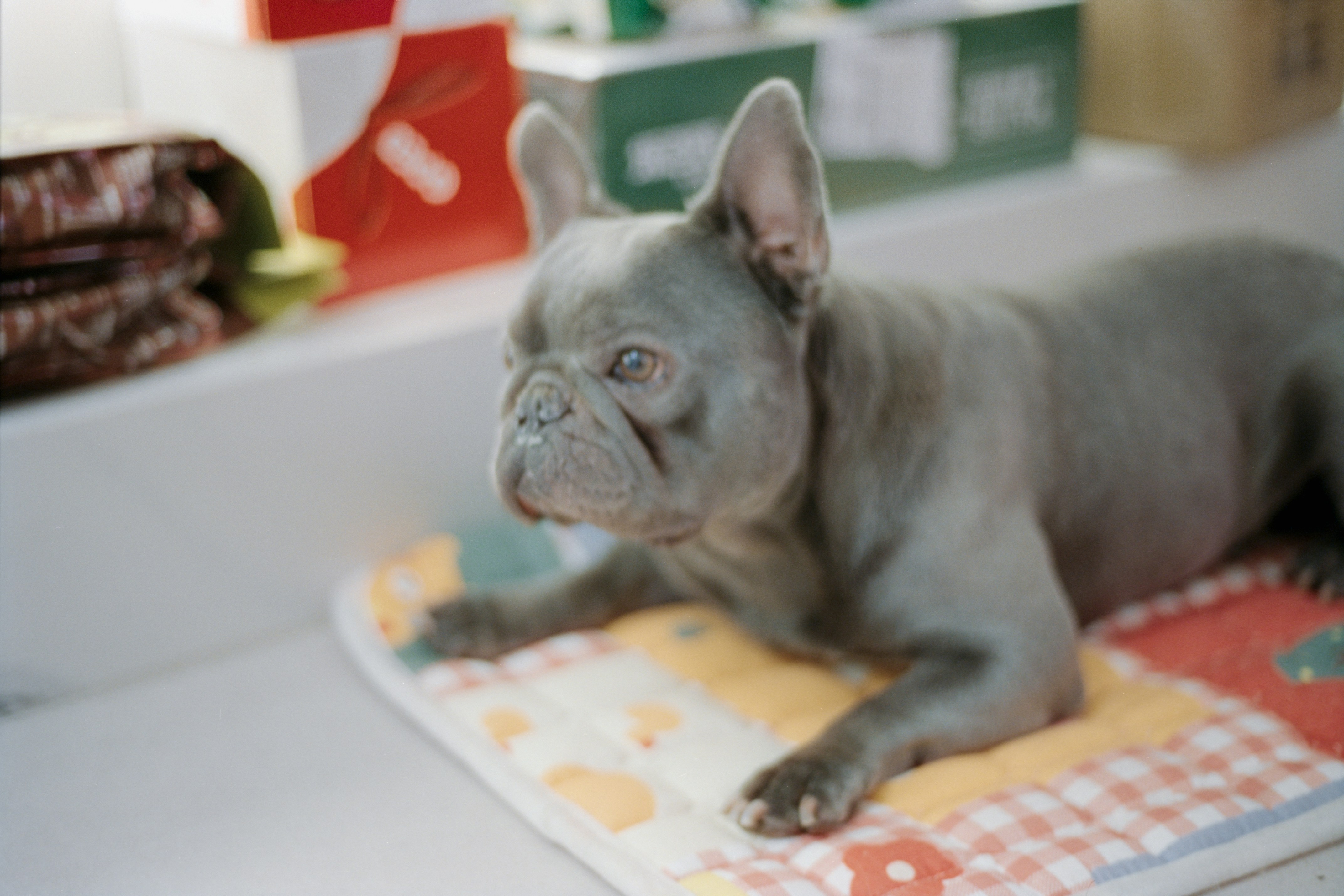 Photo by zhenyao_photo