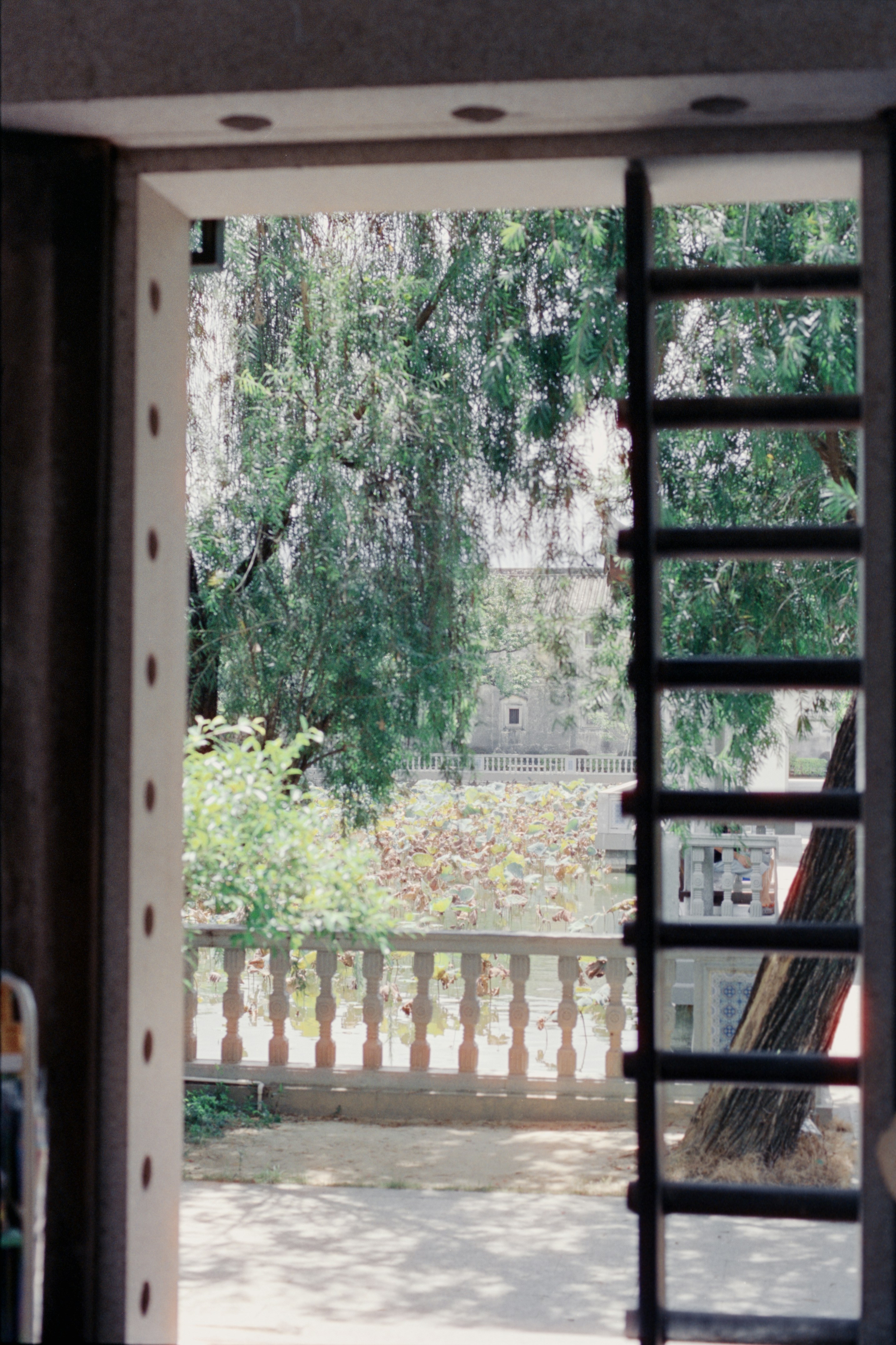 Photo by zhenyao_photo