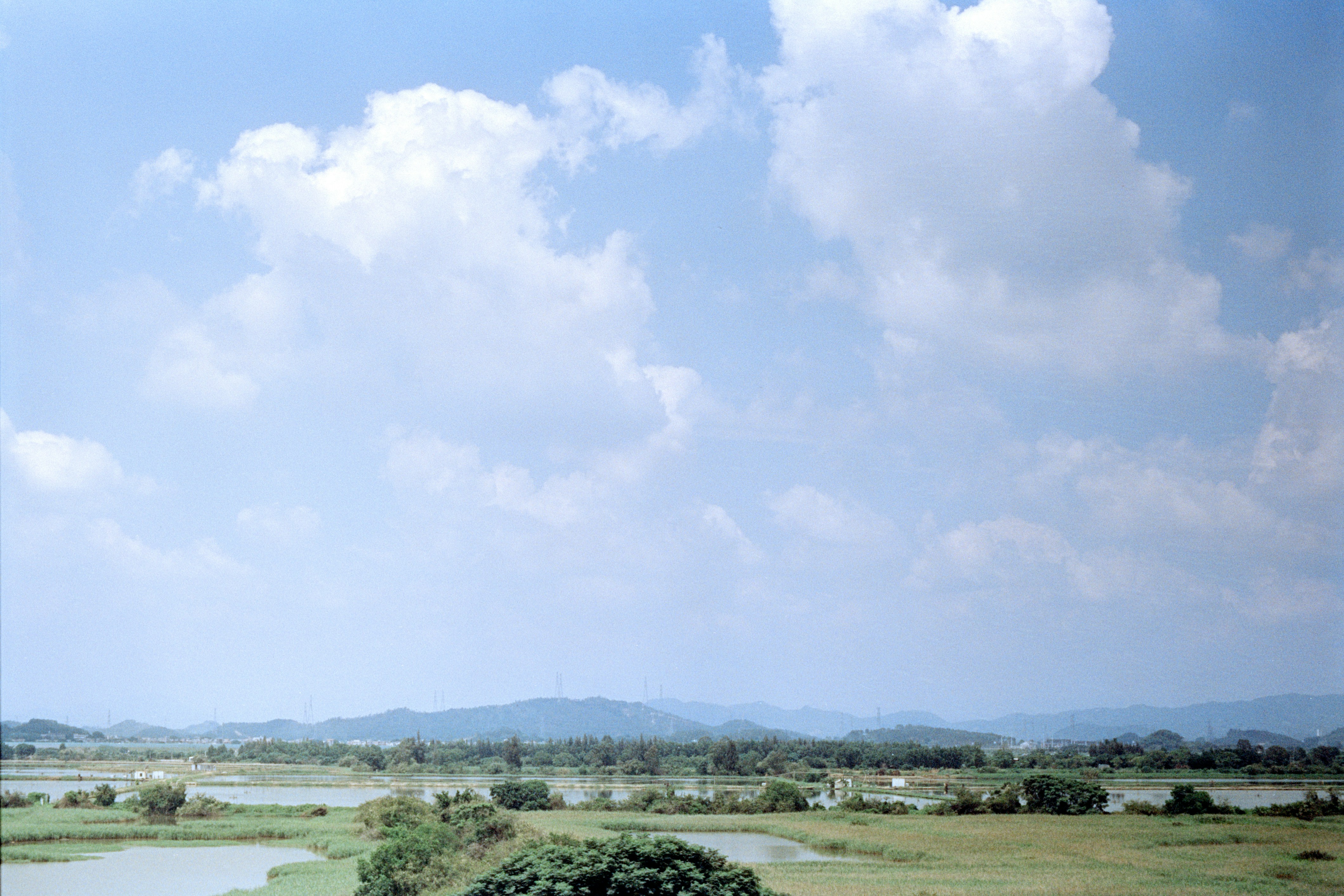 Photo by zhenyao_photo