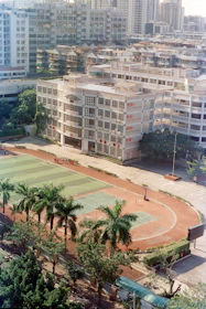 School buildings with athletic field and palm trees.