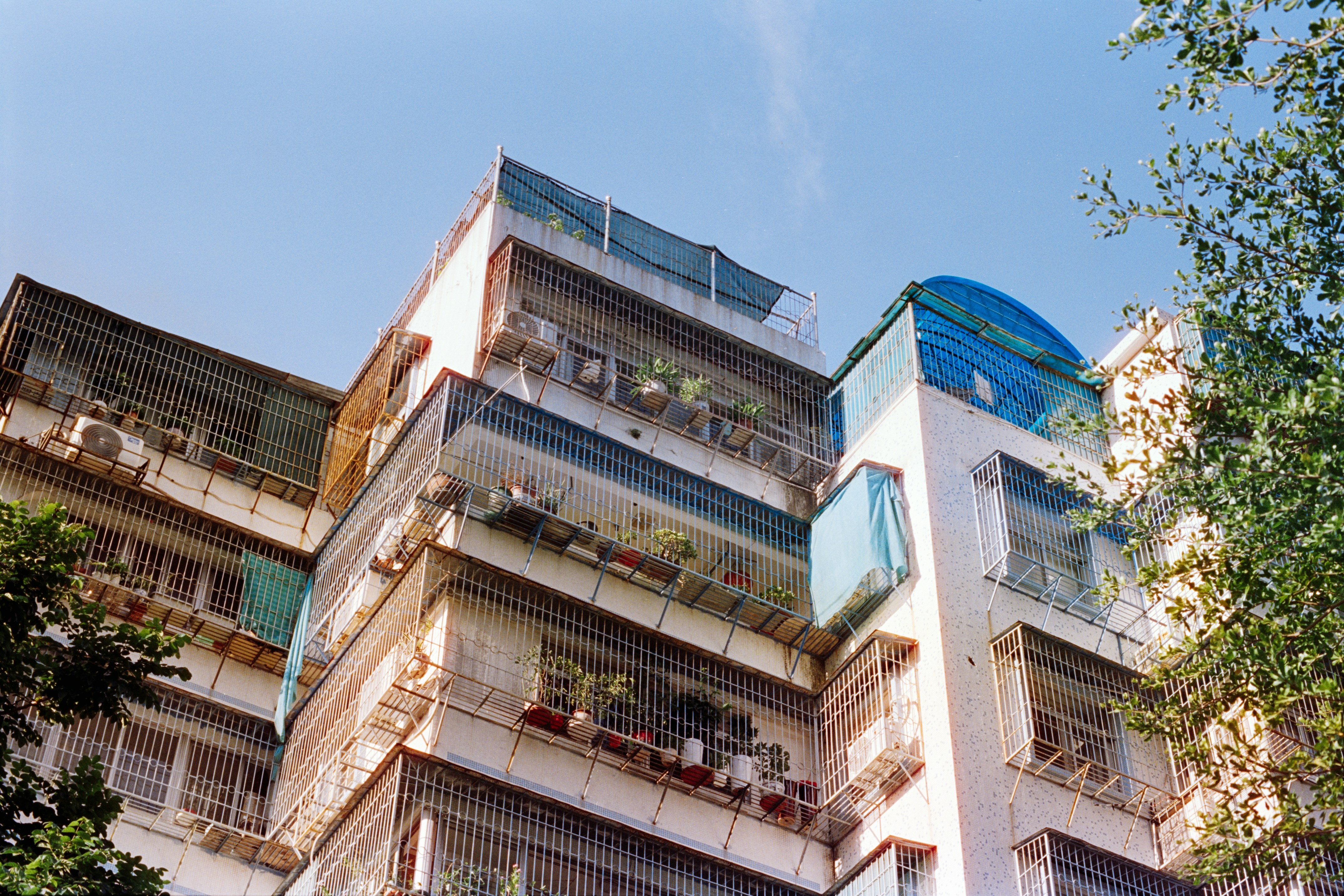 Photo by zhenyao_photo