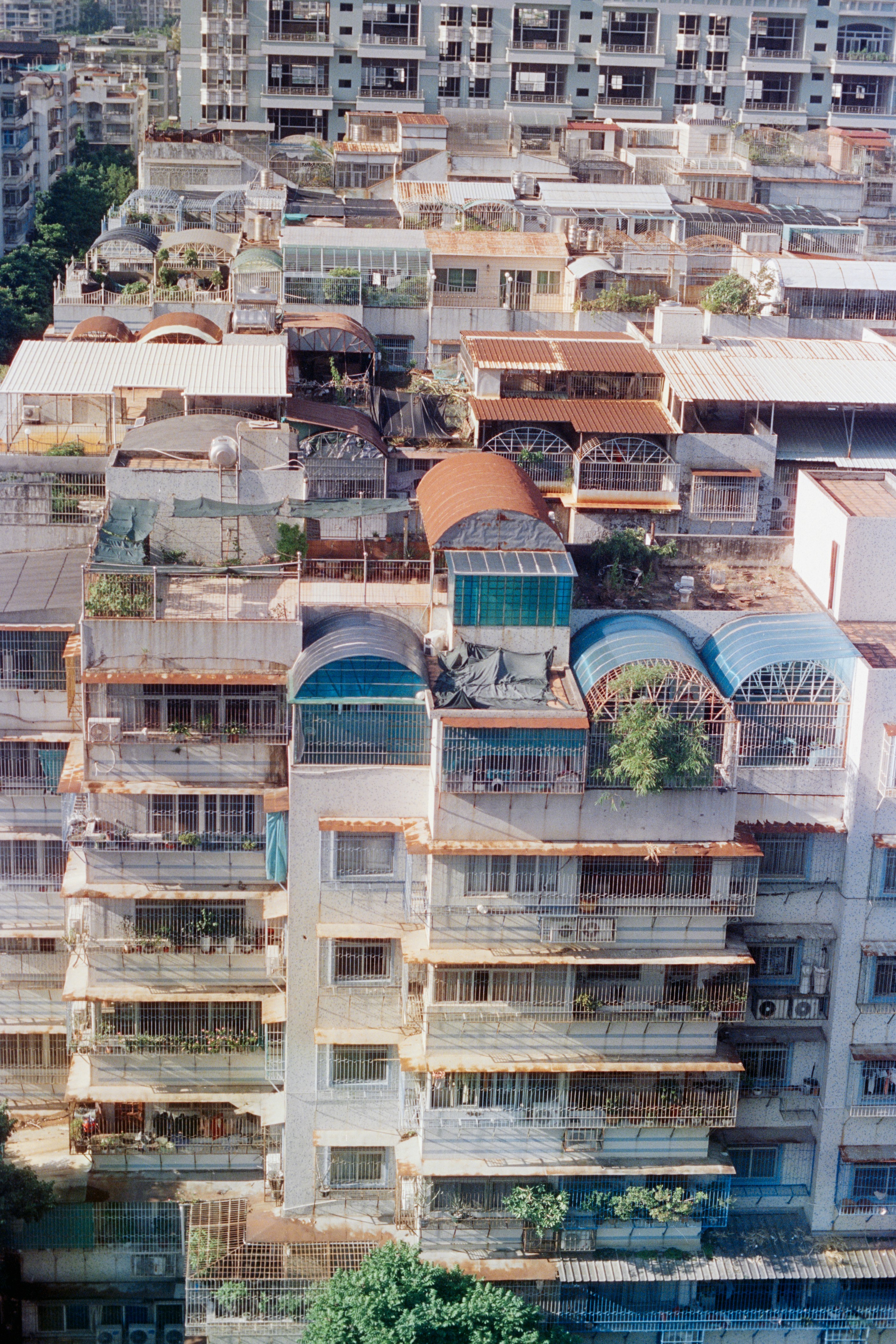 Photo by zhenyao_photo