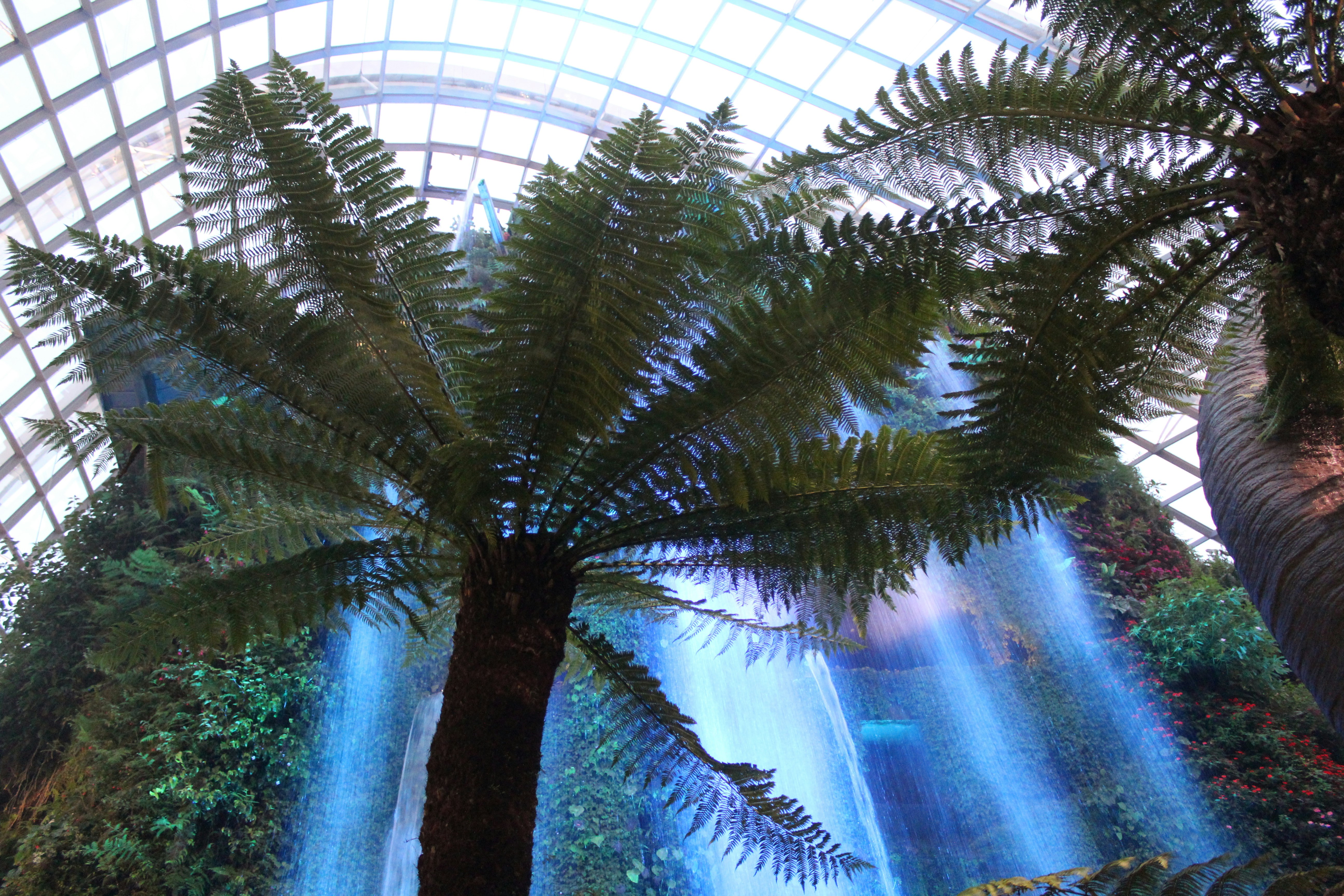 Eagle Fern Park