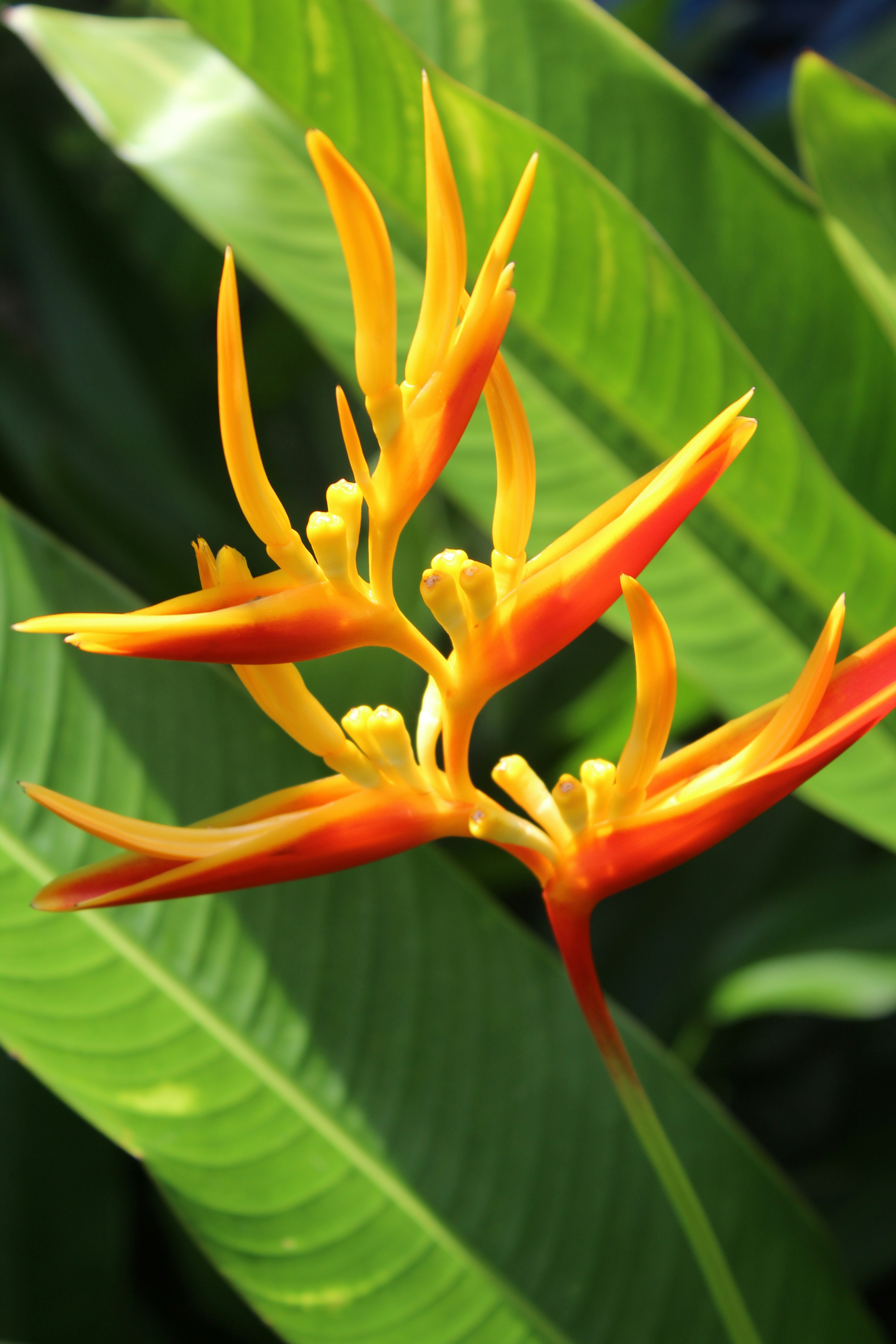 Photo by light_and_hope