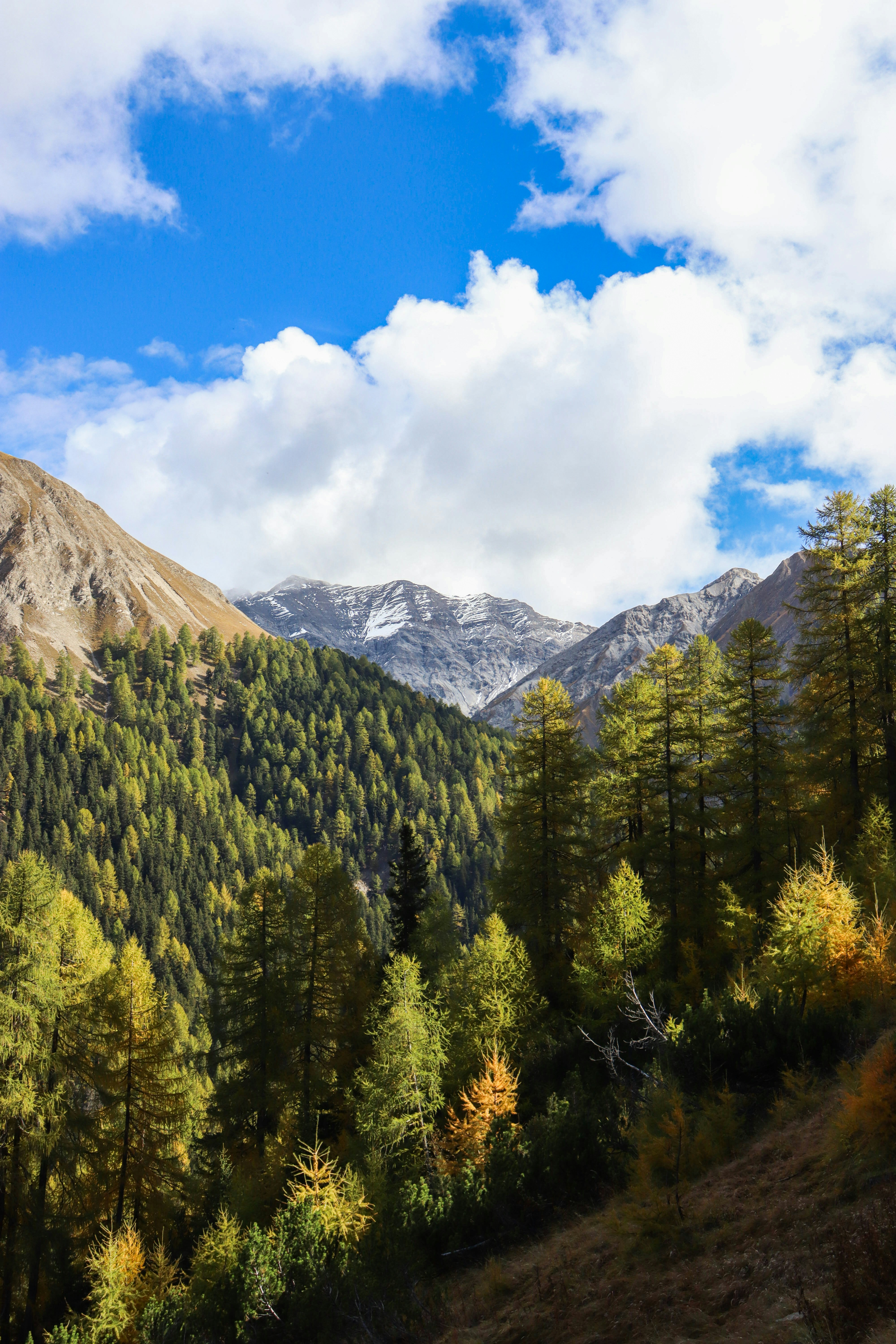 Photo by philippewehrli