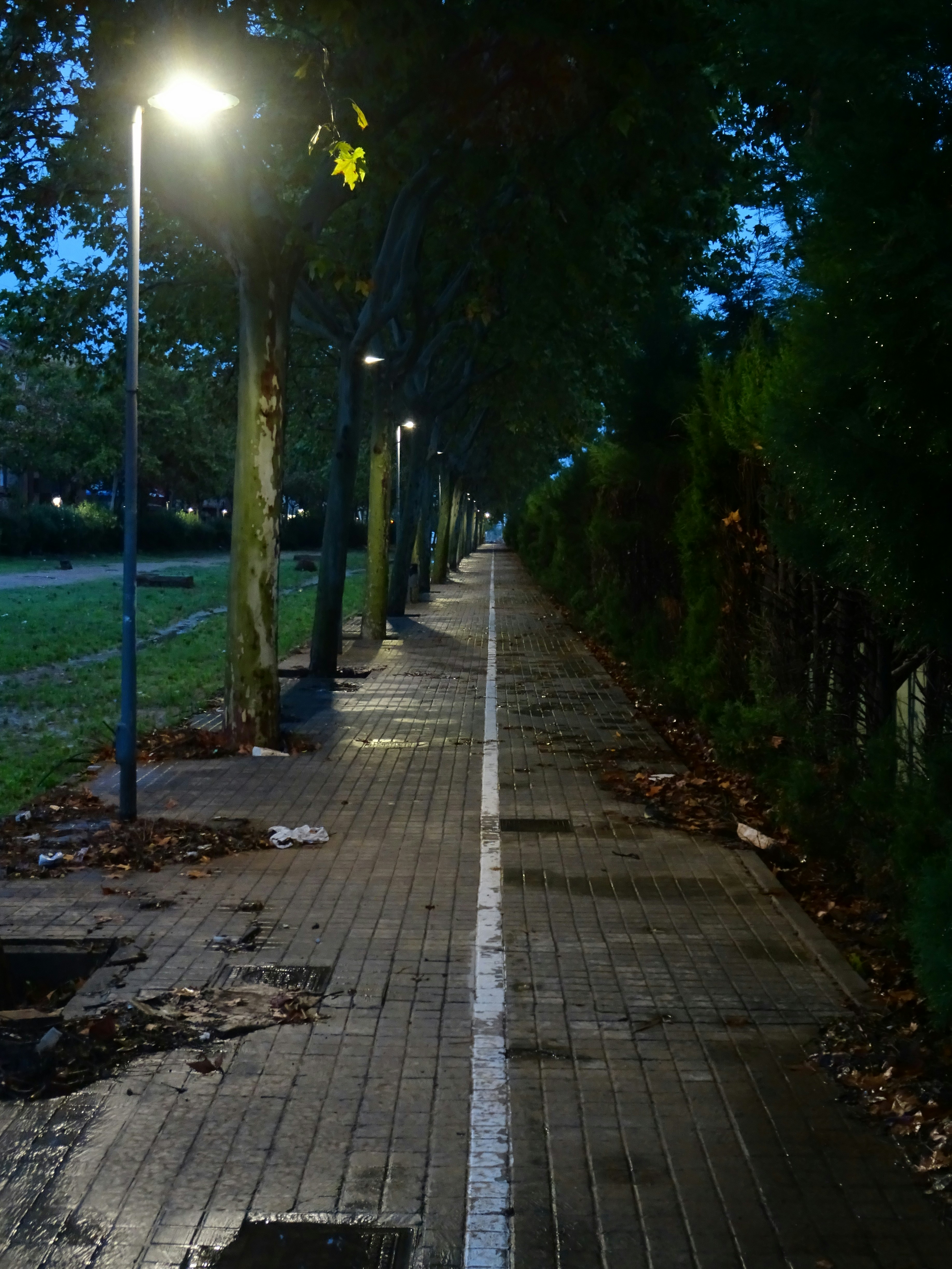 Photo by ludovico_06