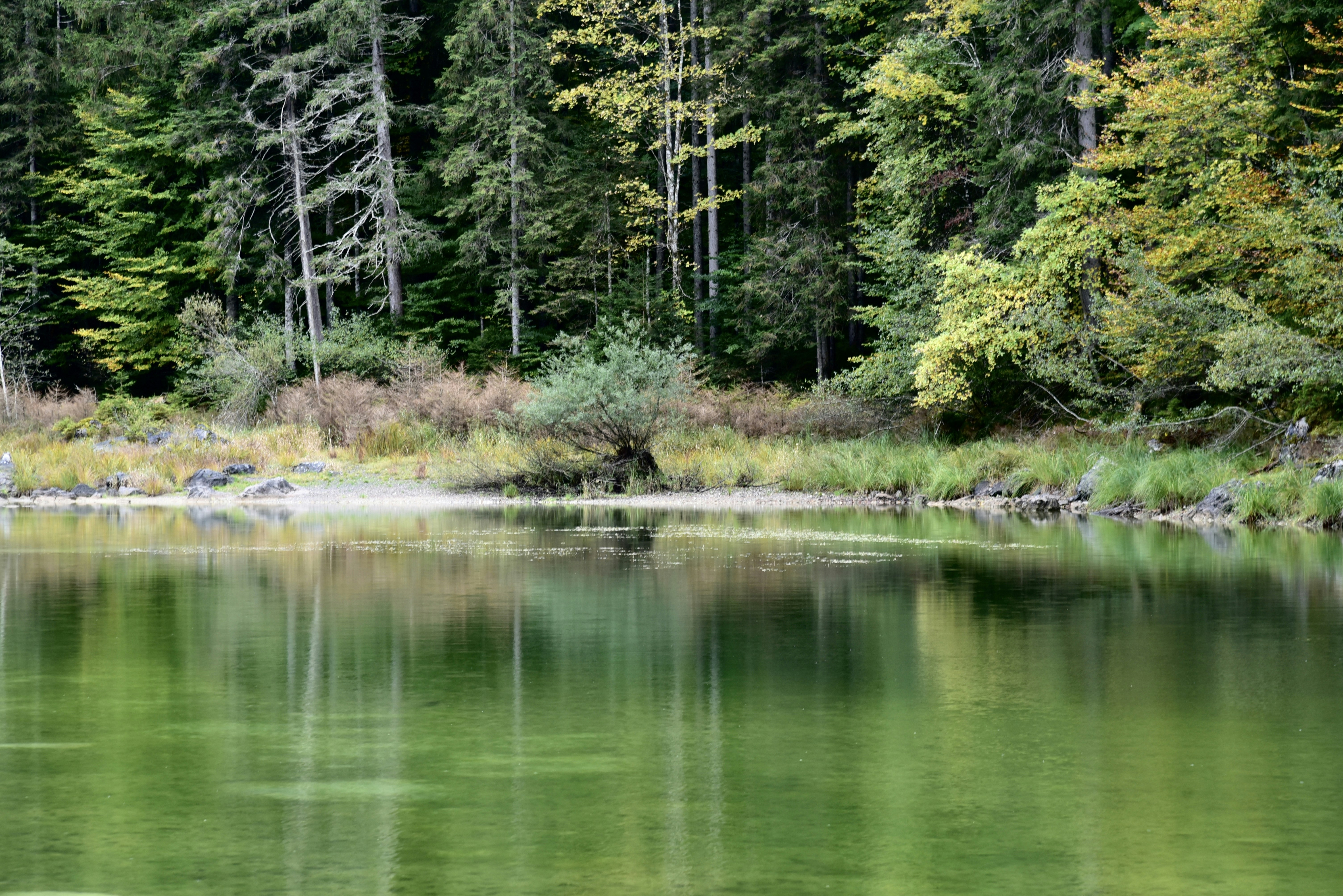 Photo by danny_chen_