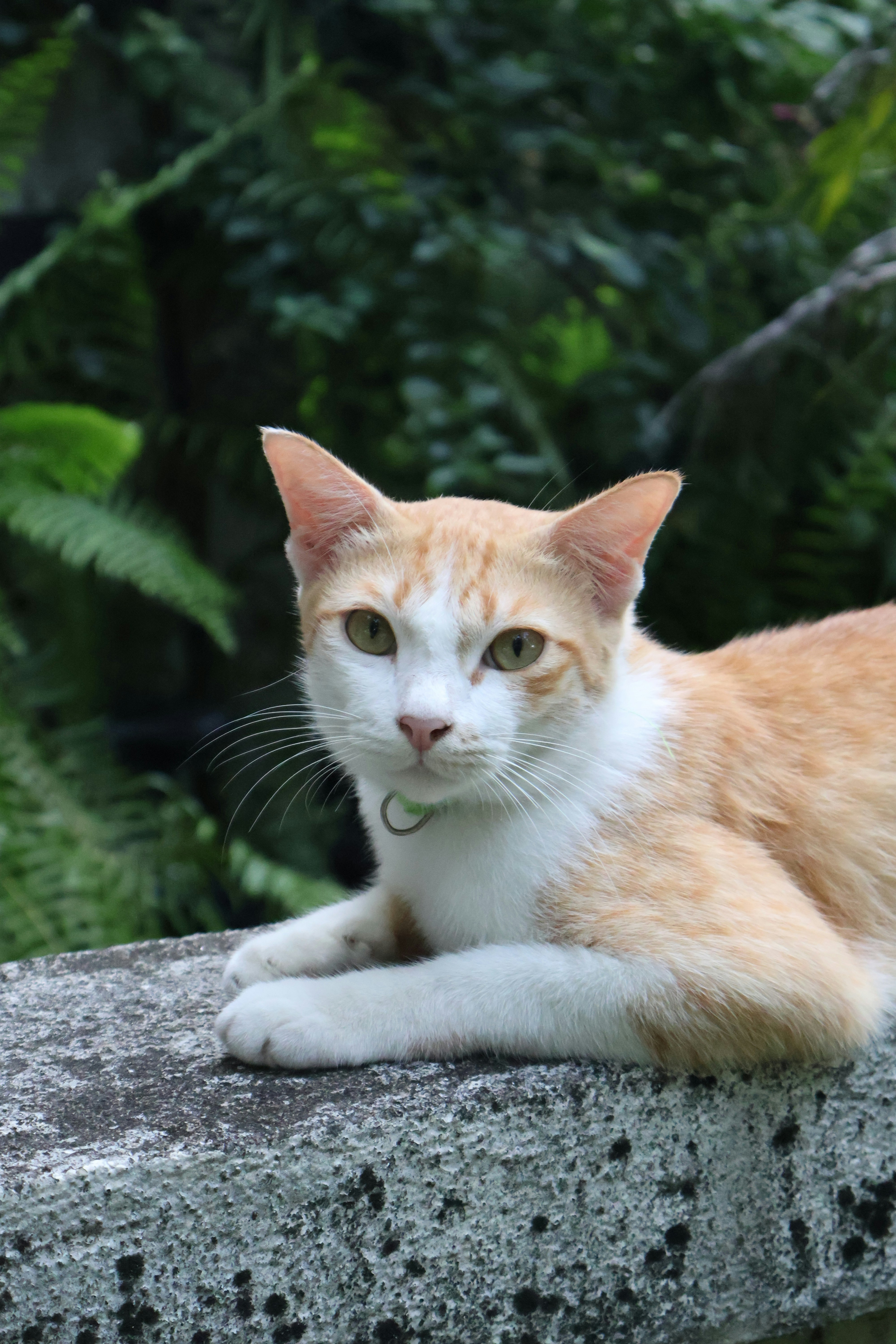 Photo by bywindahlimbai